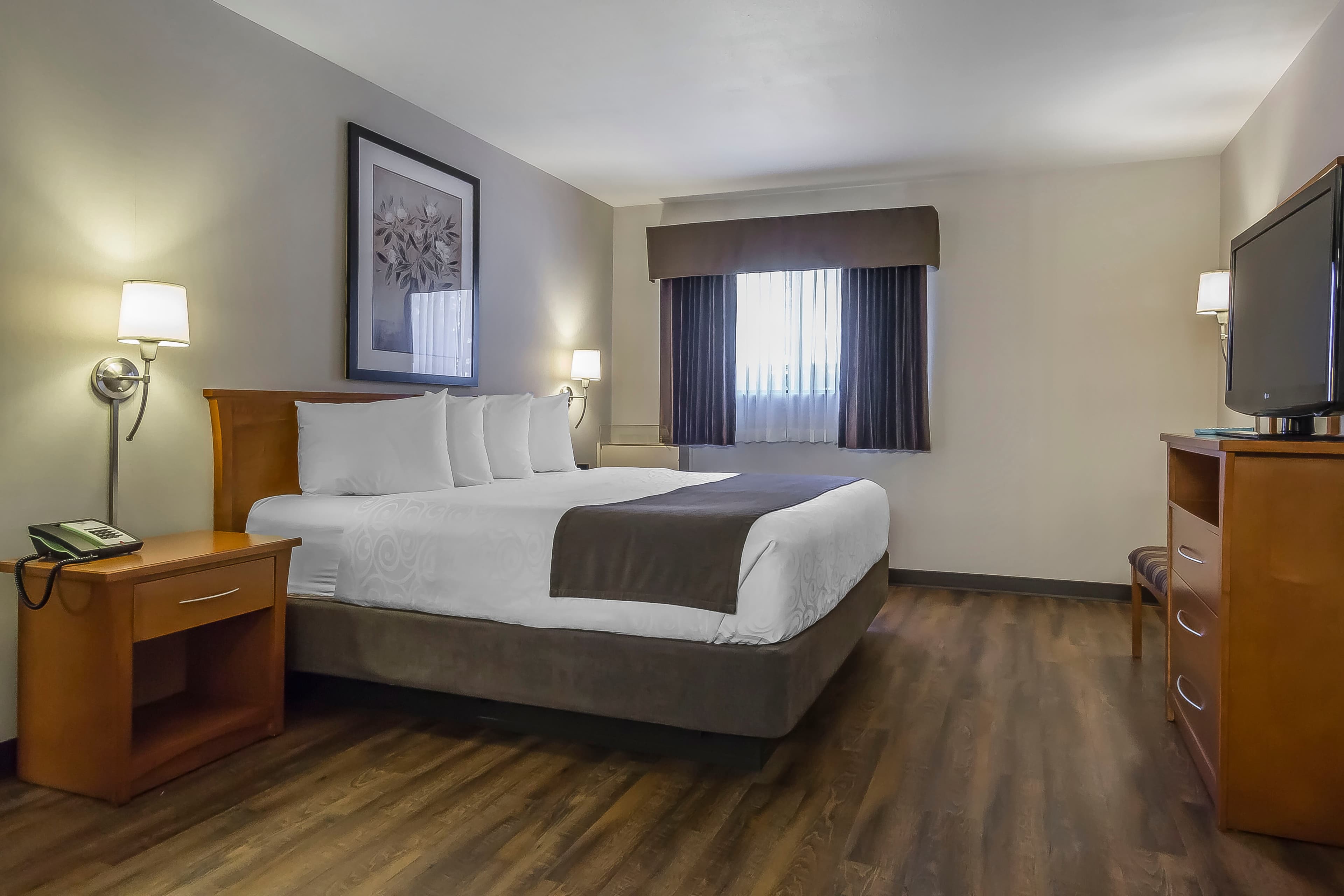 Quality Inn & Suites — 10