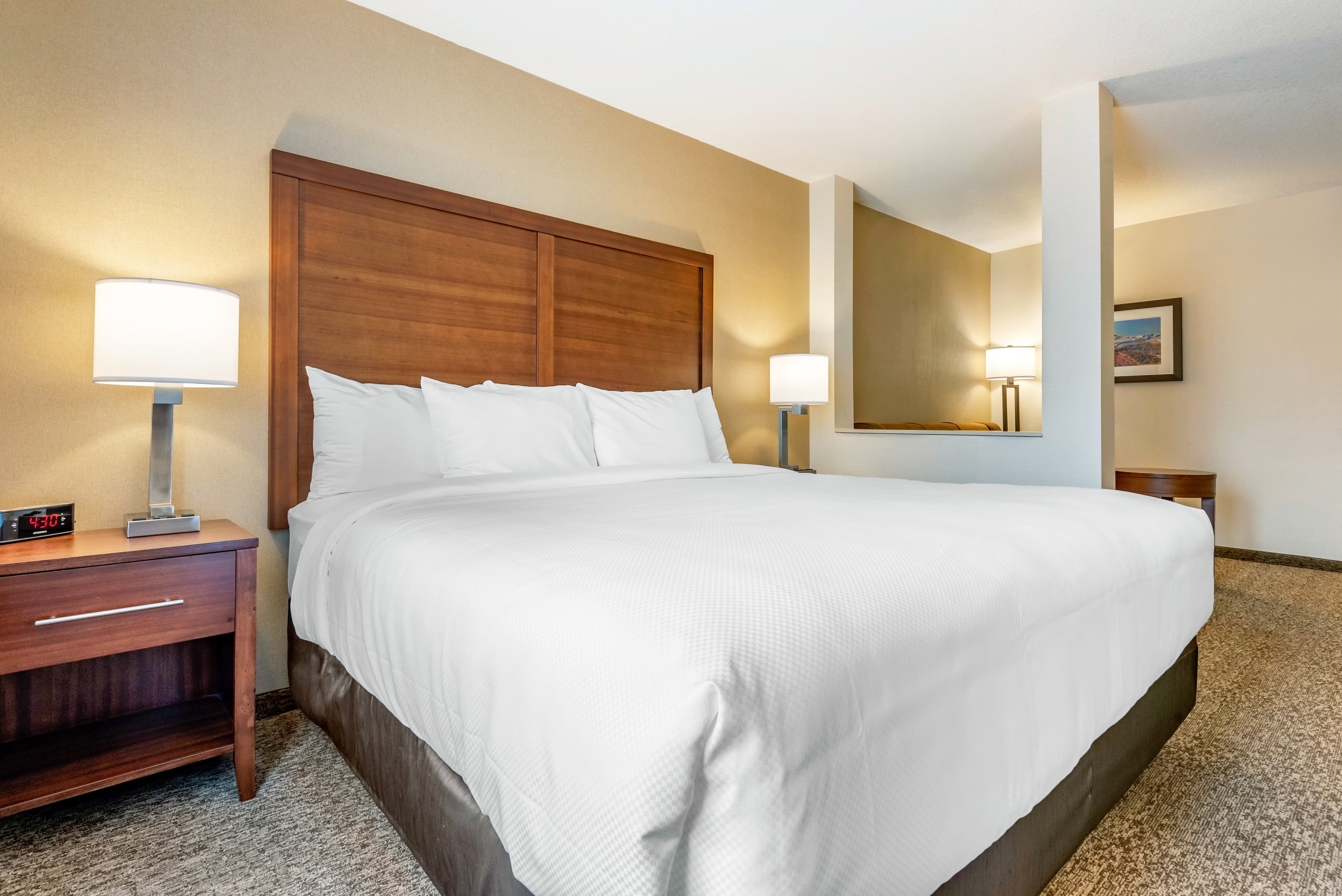 Comfort Inn & Suites — 20