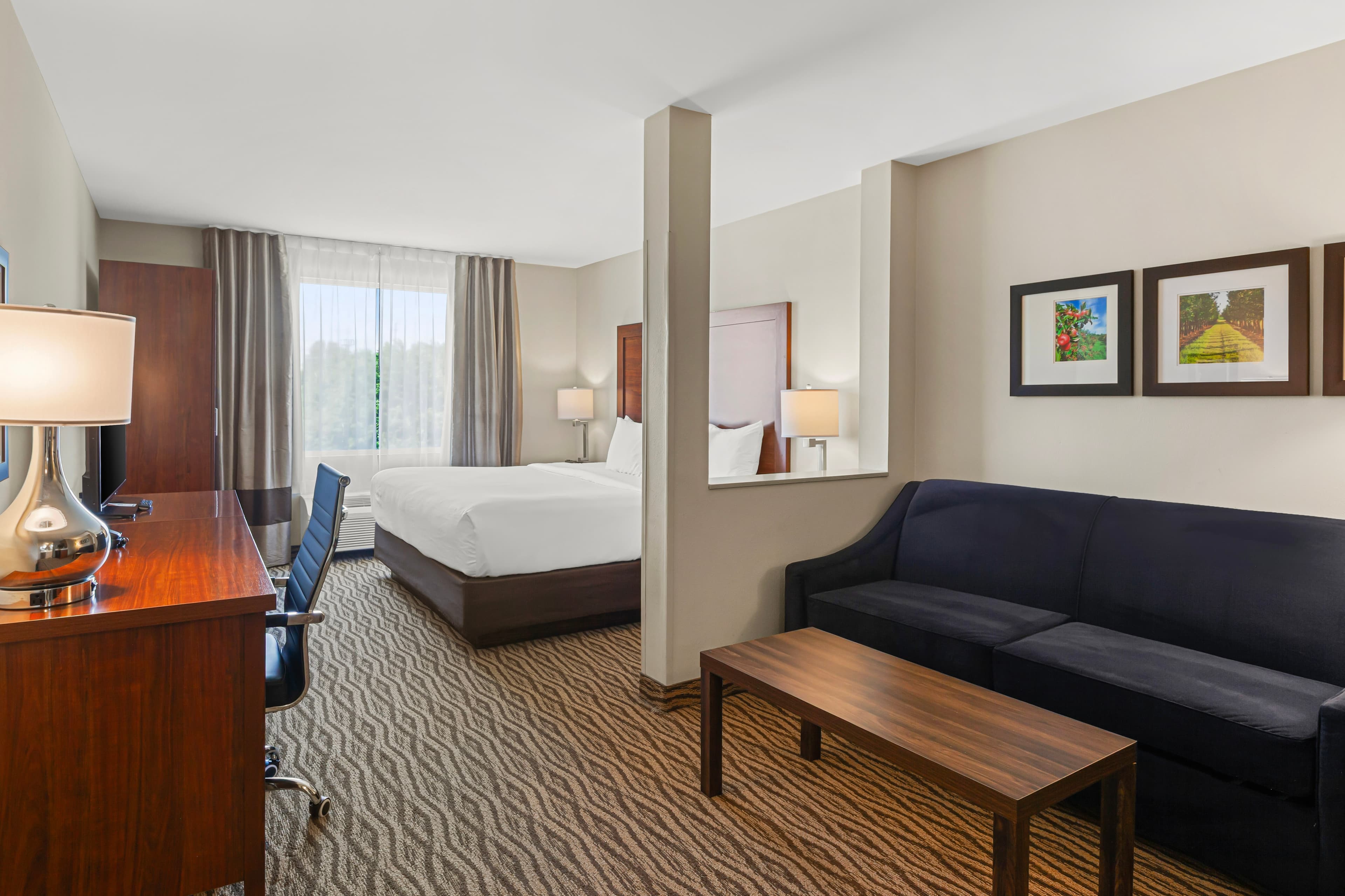 Comfort Inn & Suites — 19