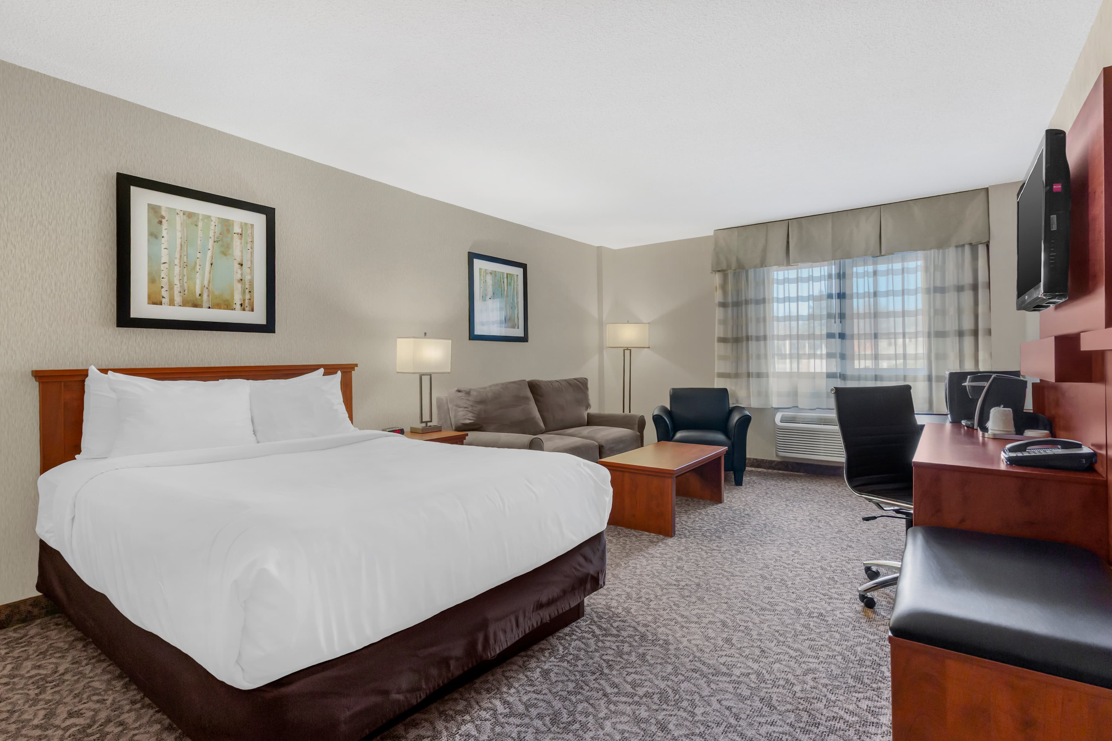 Clarion Hotel & Suites - Image 3