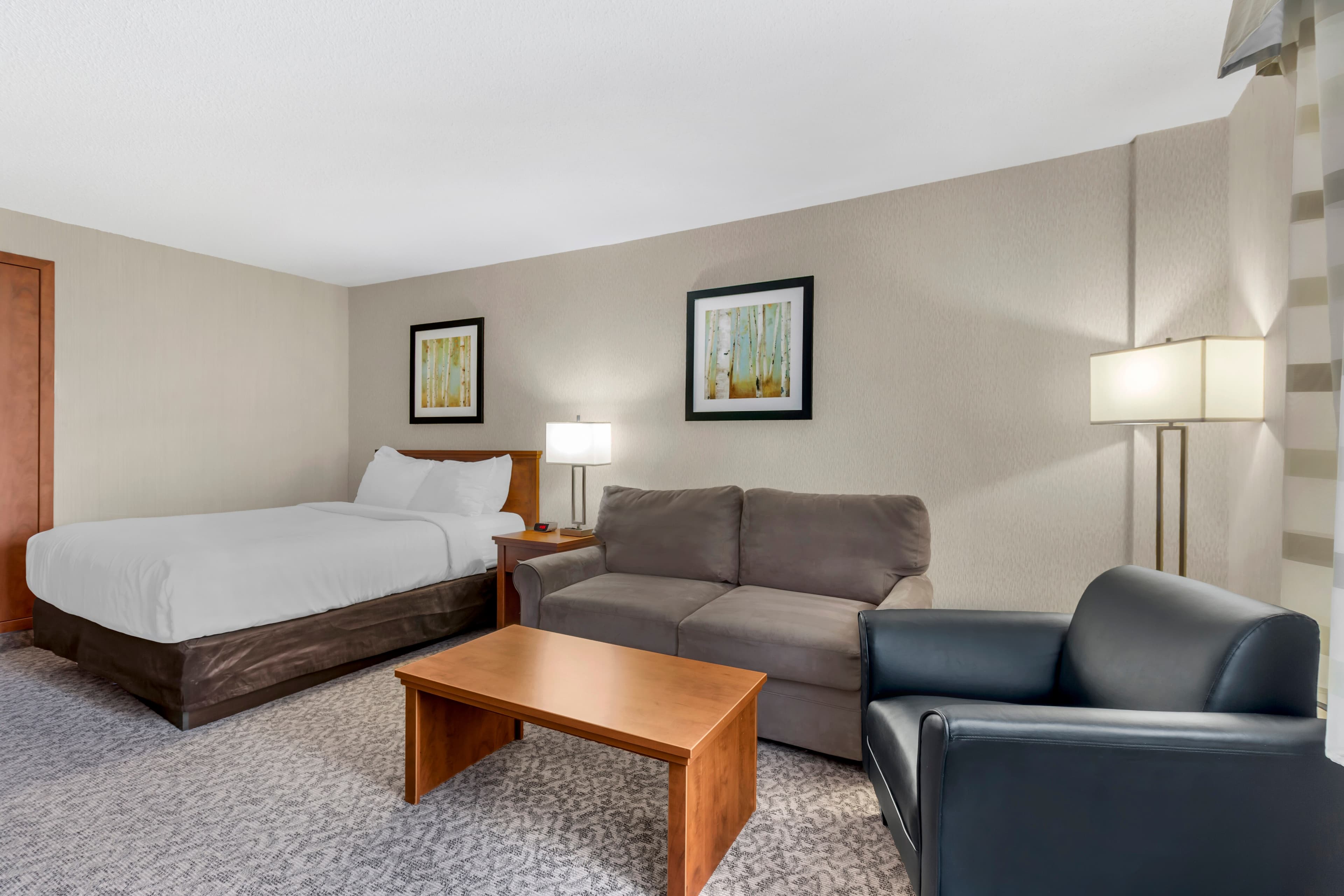 Clarion Hotel & Suites - Image 4
