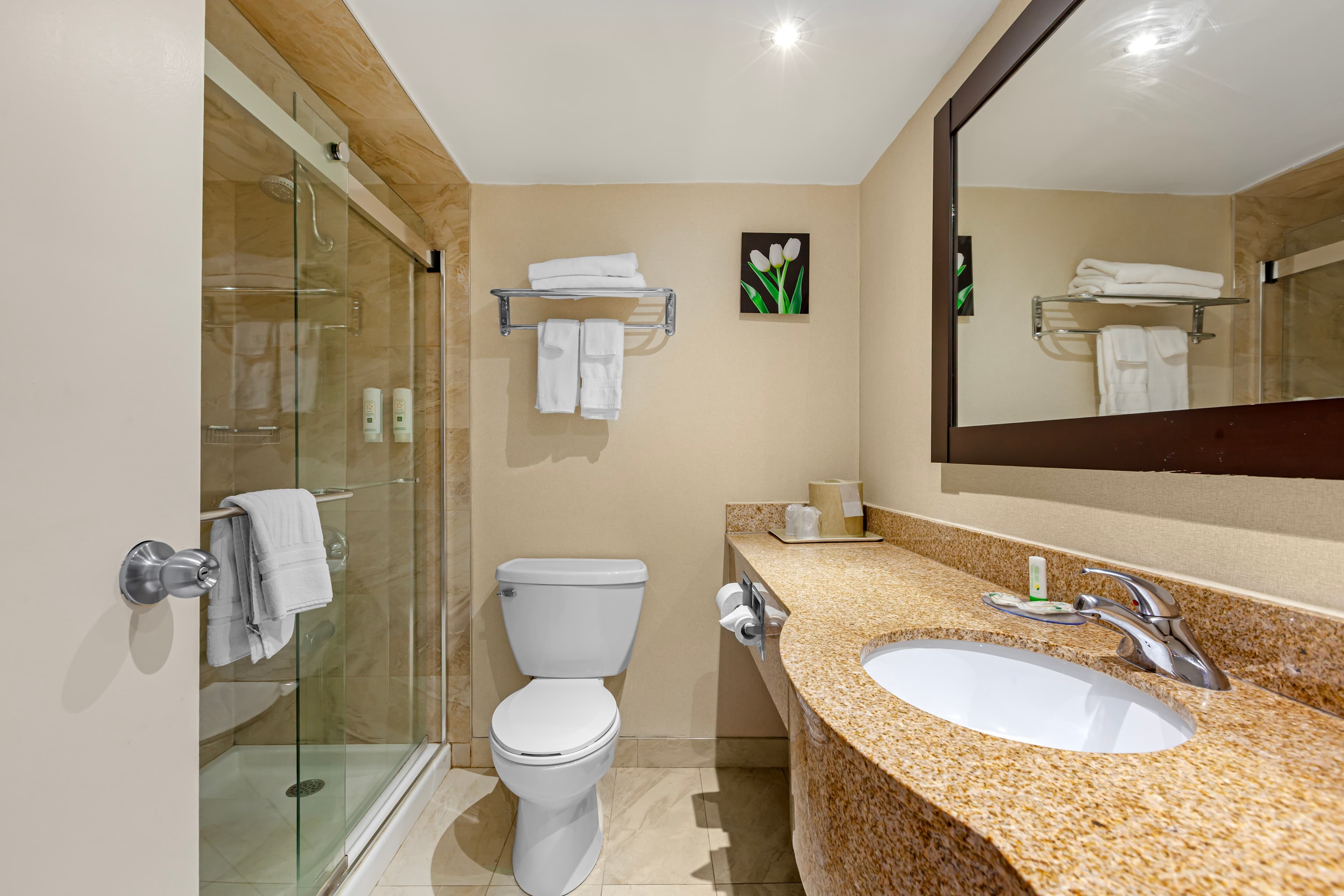 Quality Inn & Suites - Image 5