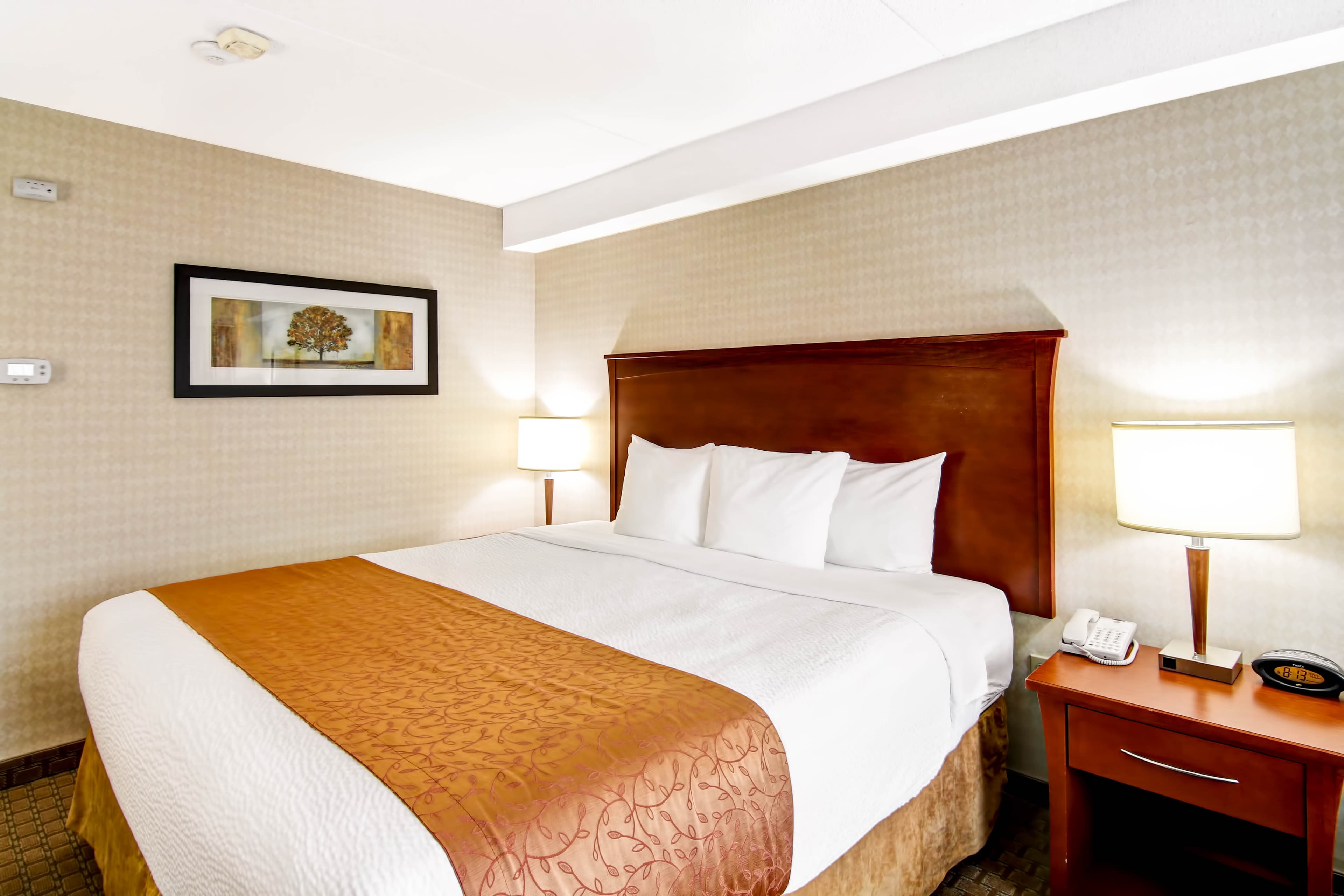 Quality Inn — 6