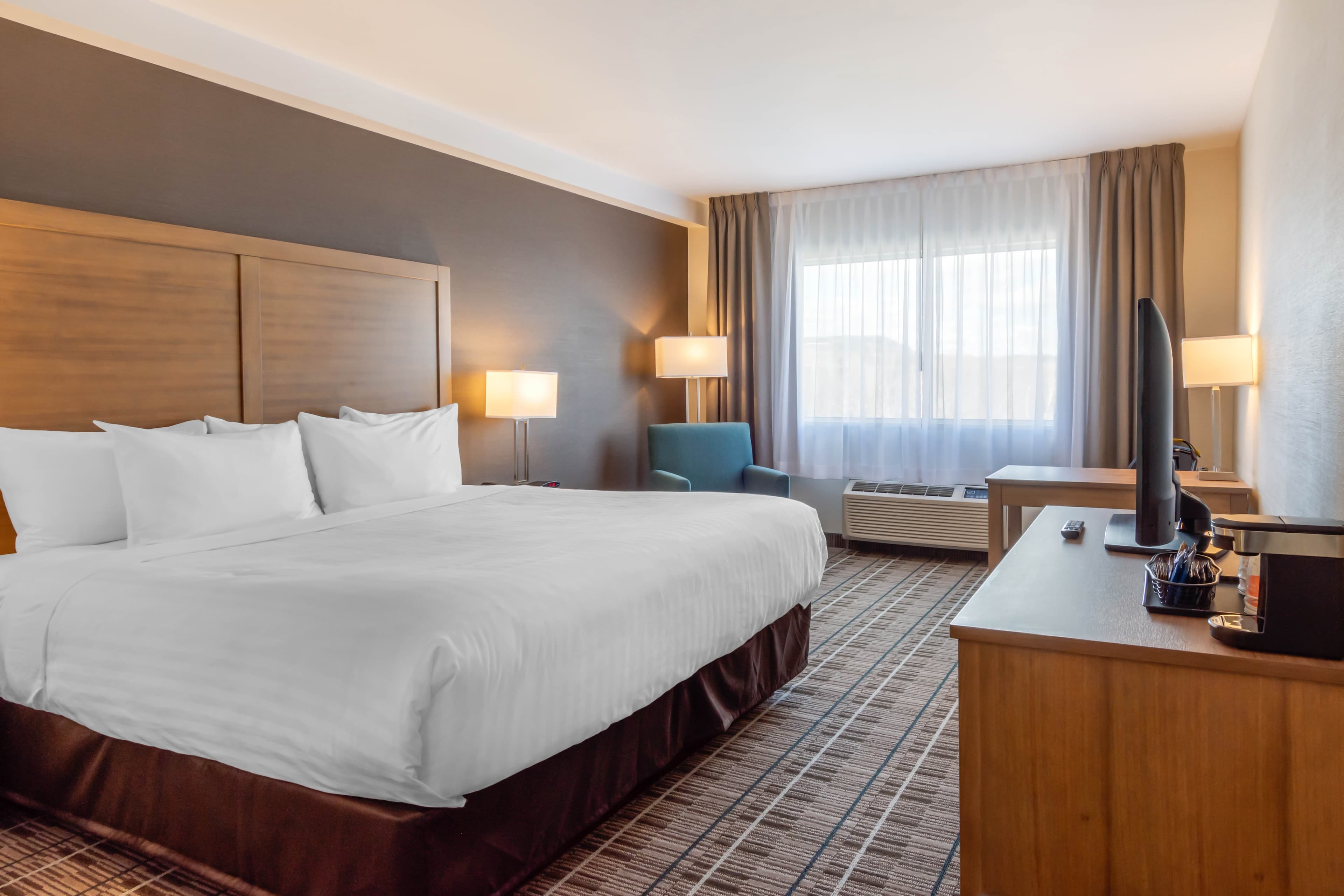 Quality Hotel - Image 4