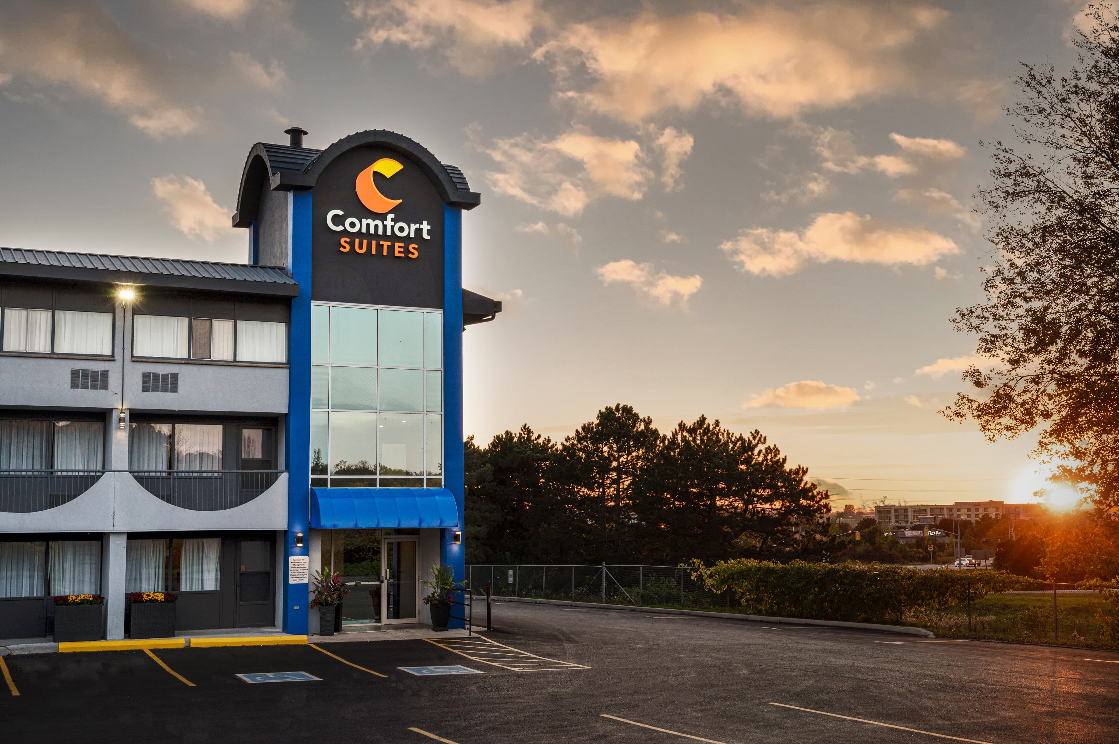Comfort Suites Kingston Central - Image 1