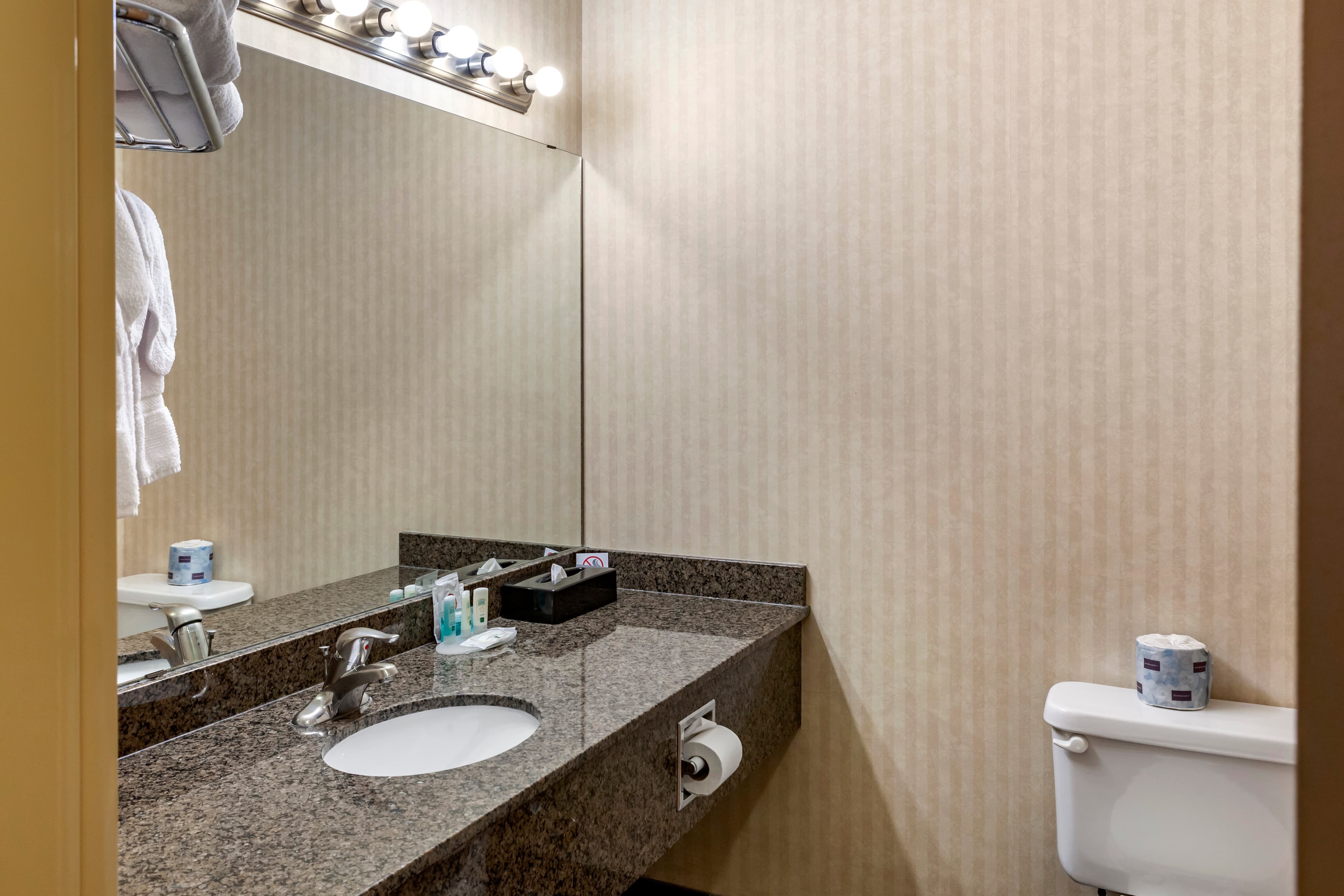 Quality Inn & Suites Edmonton International Airport — 9