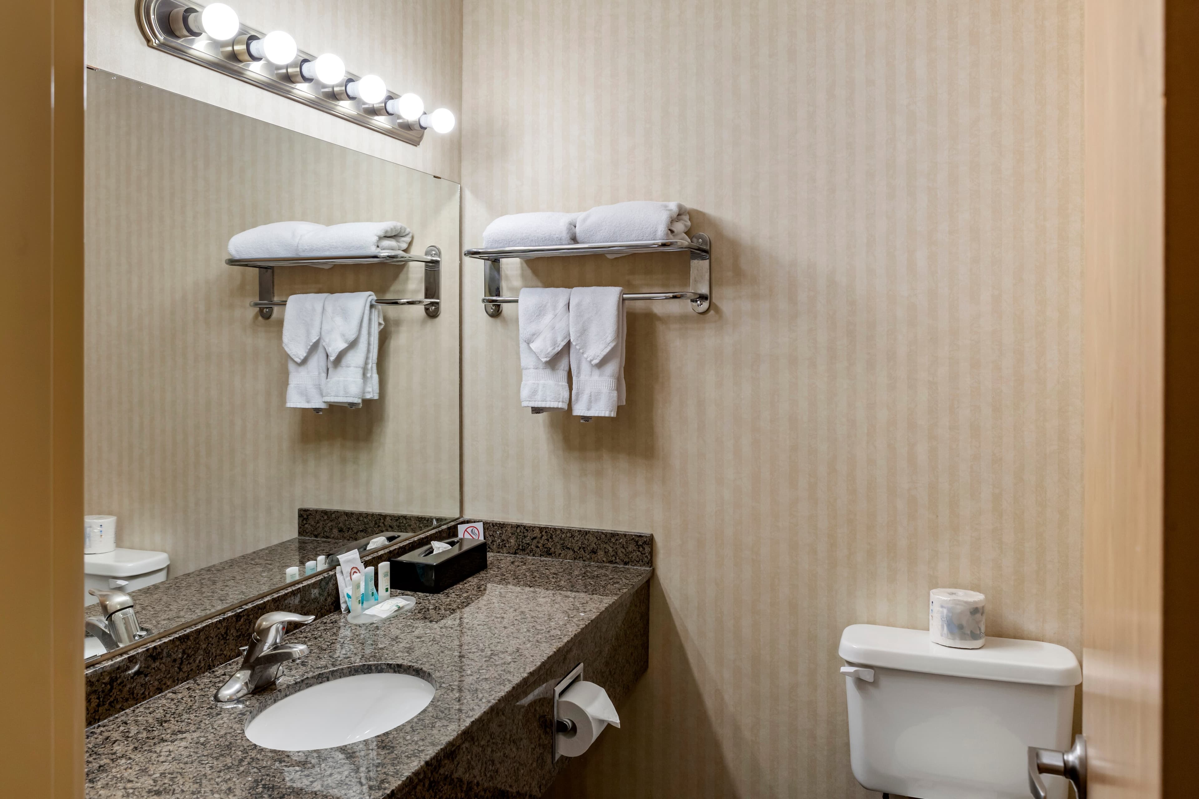 Quality Inn & Suites Edmonton International Airport - Image 5