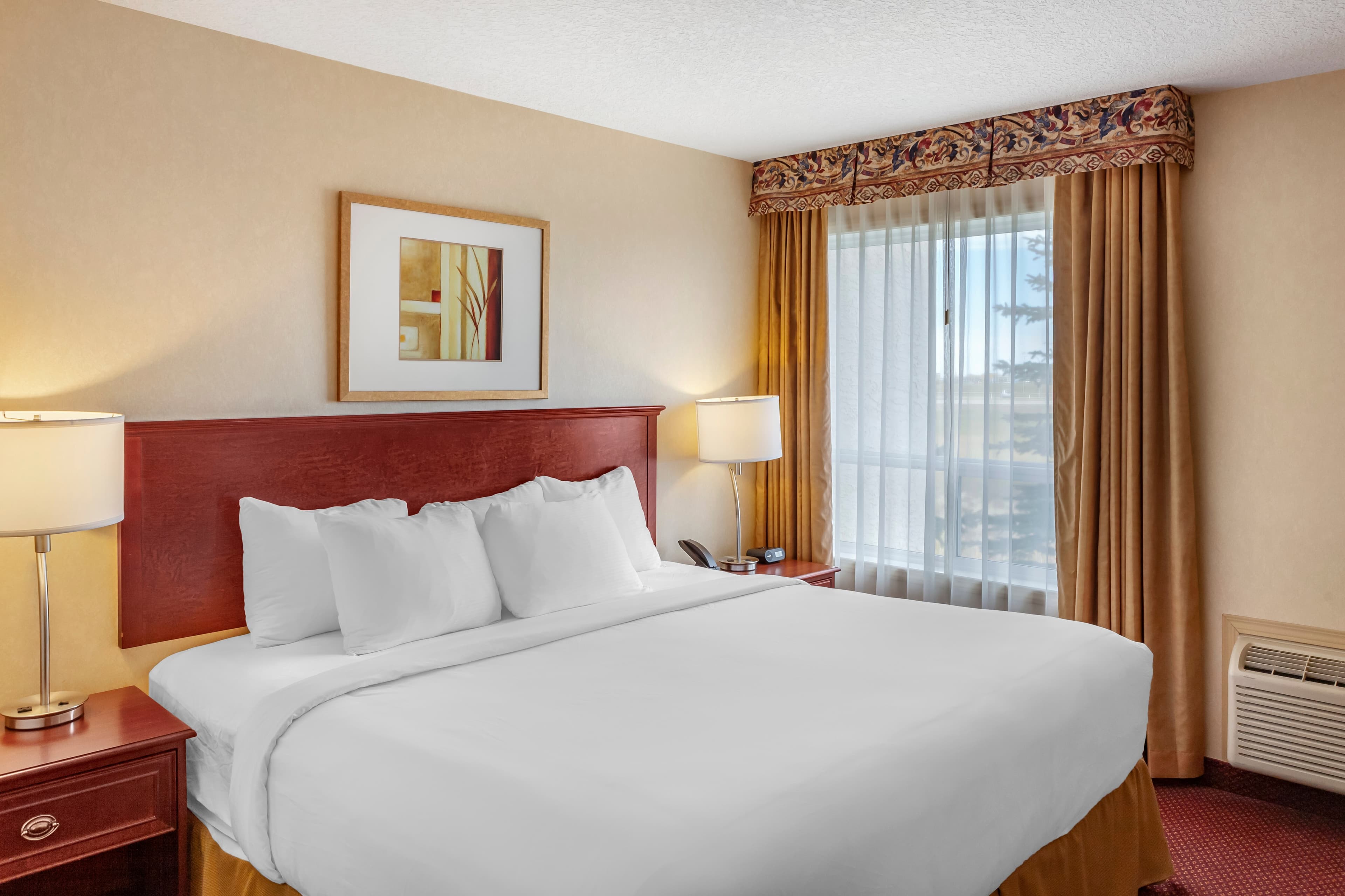 Quality Inn & Suites Edmonton International Airport — 25