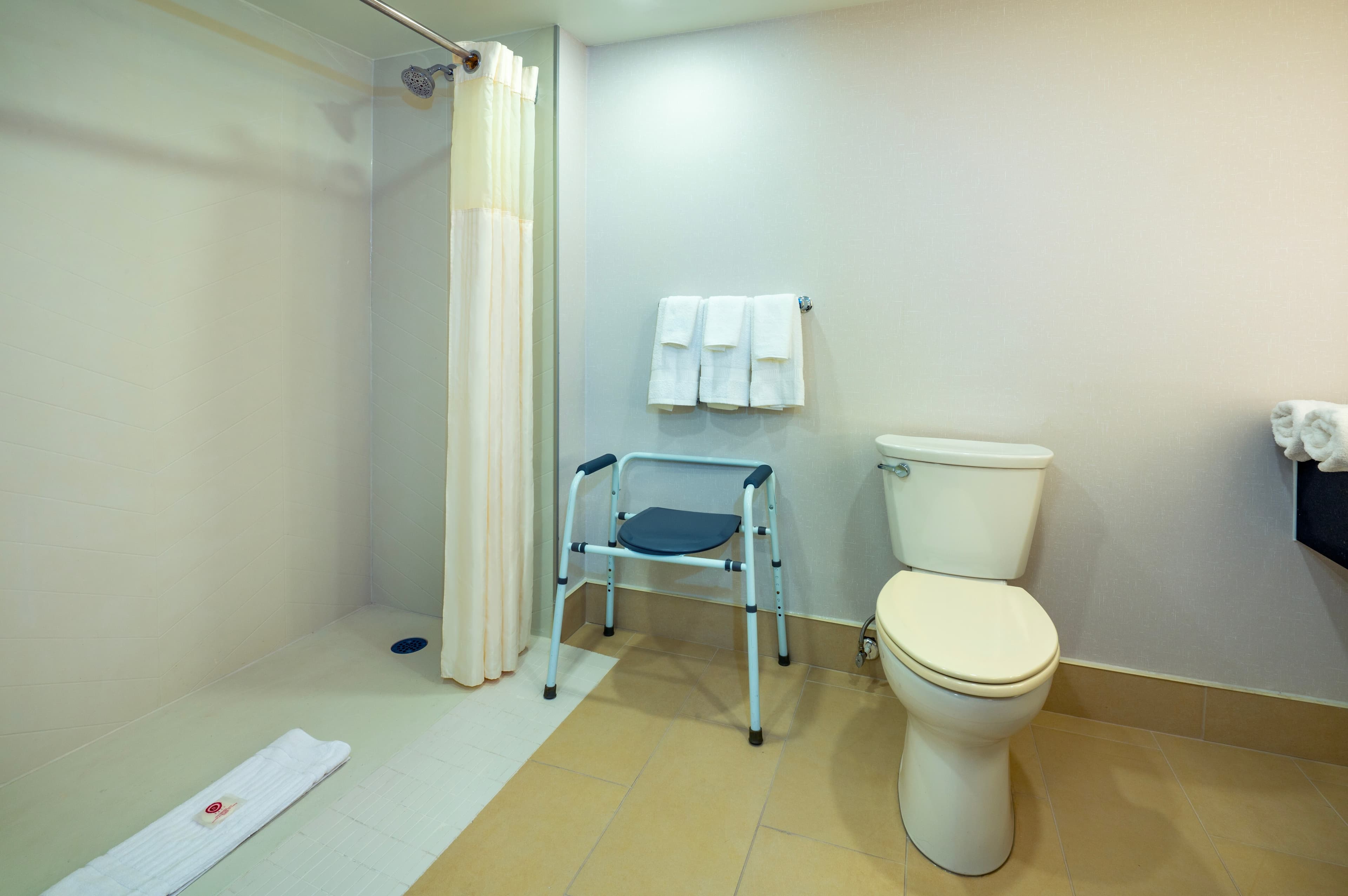 Comfort Inn & Conference Centre Toronto Airport - Image 4