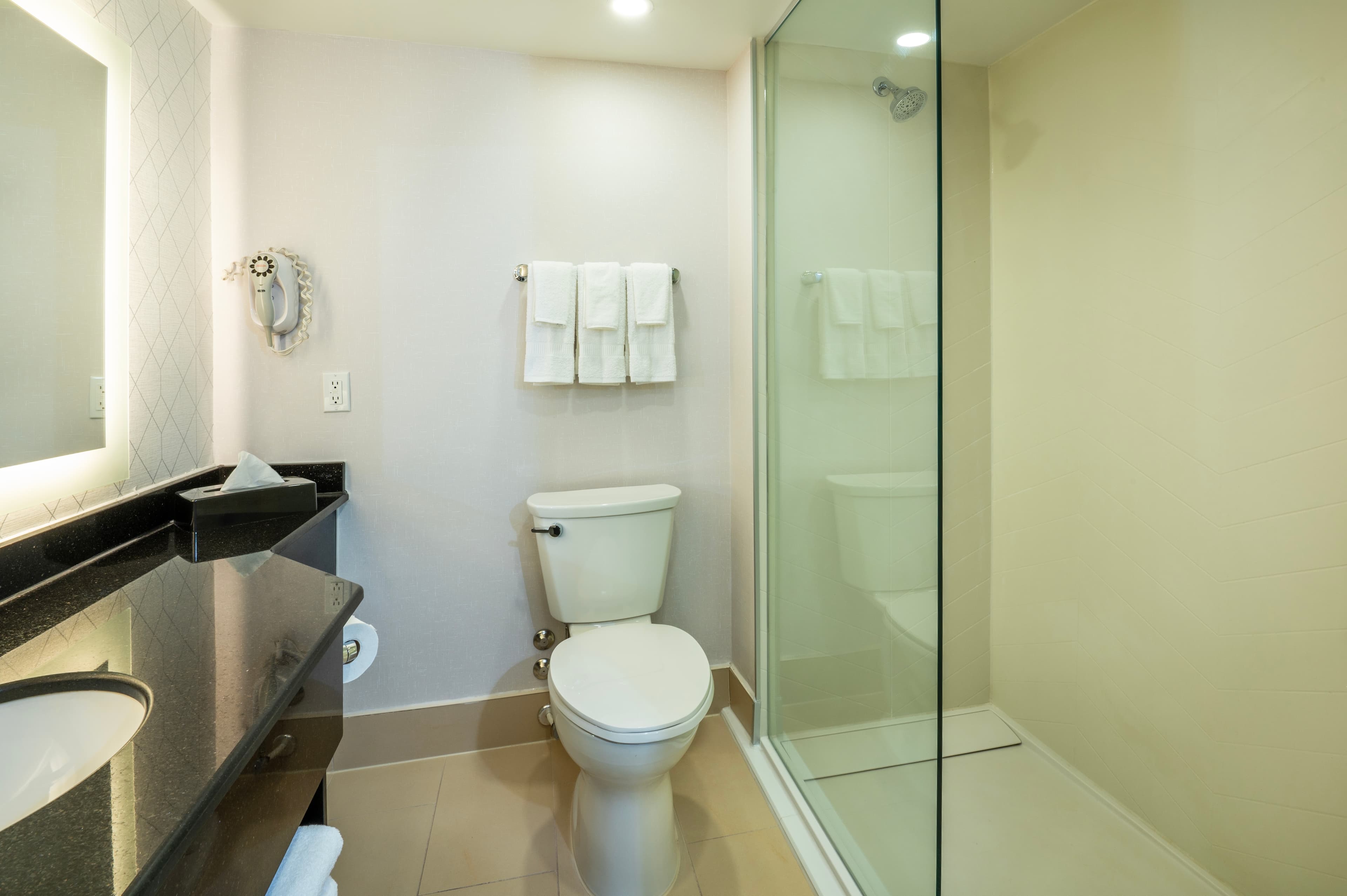 Comfort Inn & Conference Centre Toronto Airport — 8
