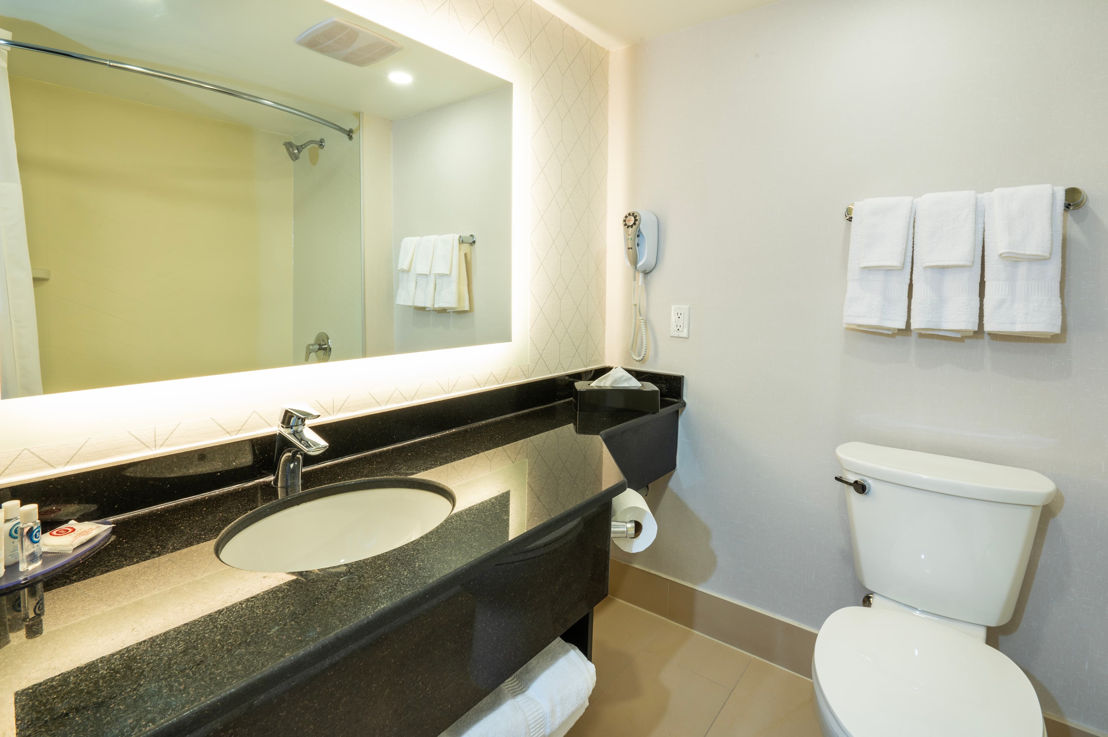 Comfort Inn & Conference Centre Toronto Airport — 10
