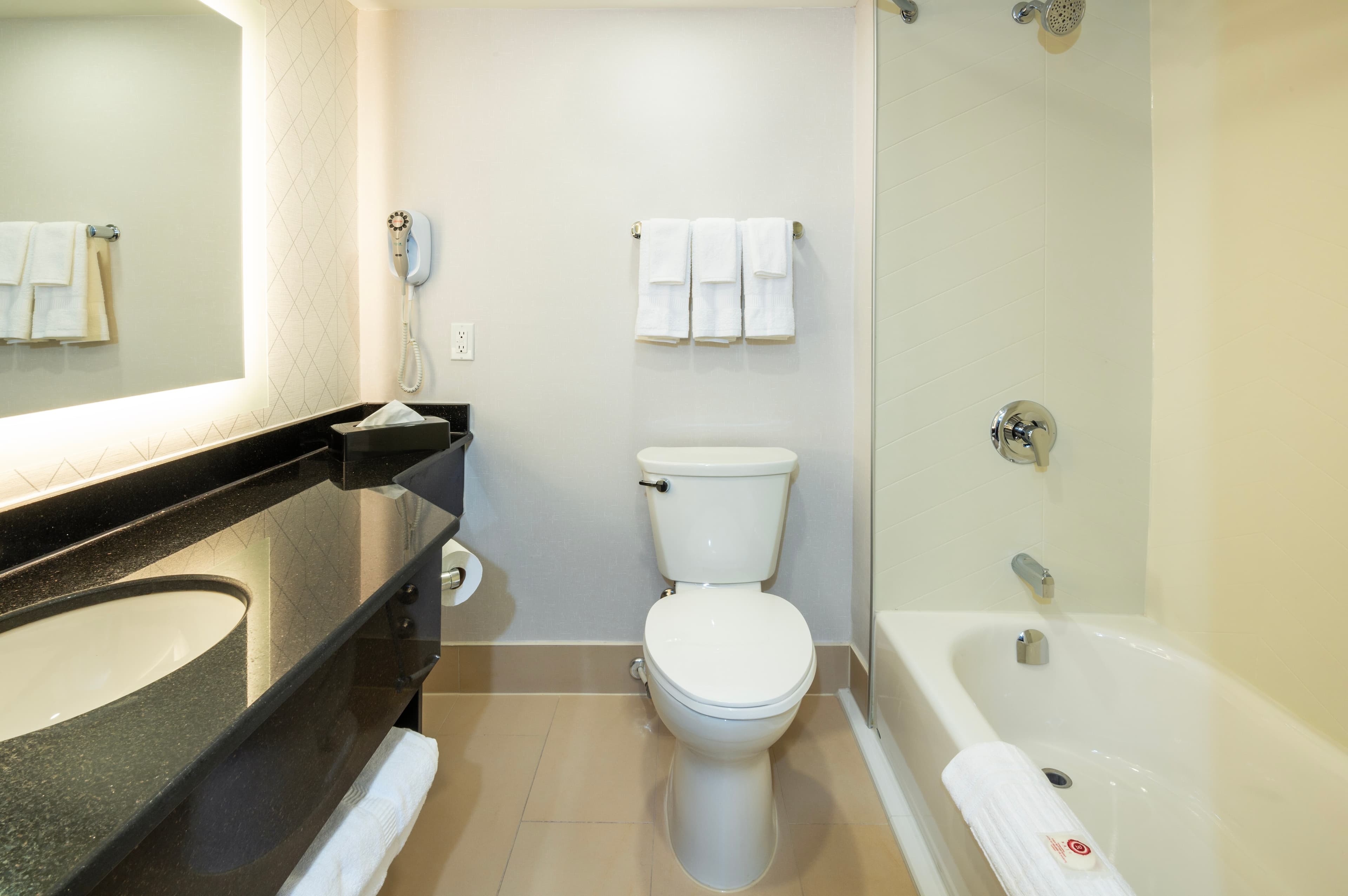 Comfort Inn & Conference Centre Toronto Airport — 11