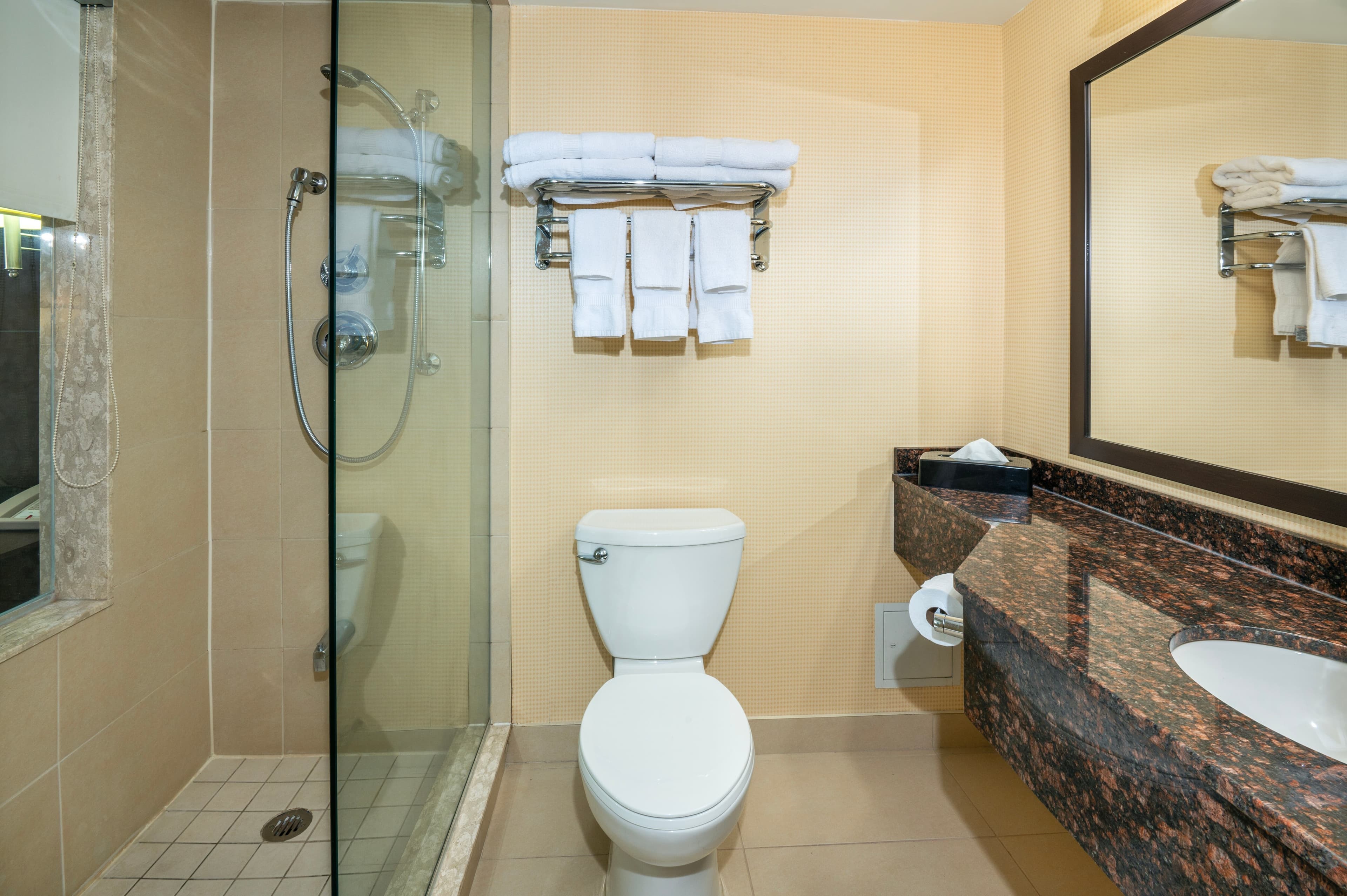 Comfort Inn & Conference Centre Toronto Airport — 6