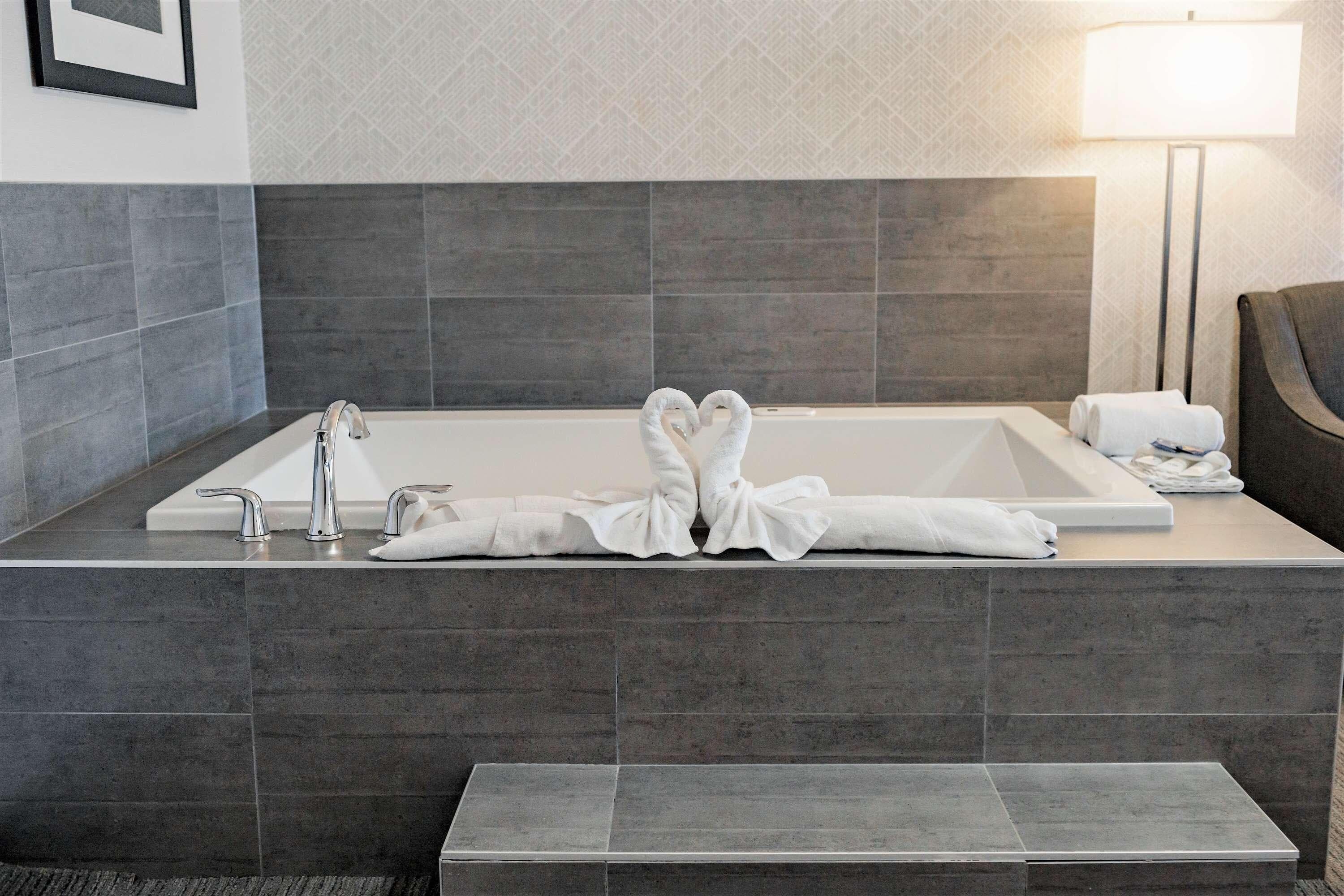 Park Inn by Radisson Edmonton Airport - Image 4