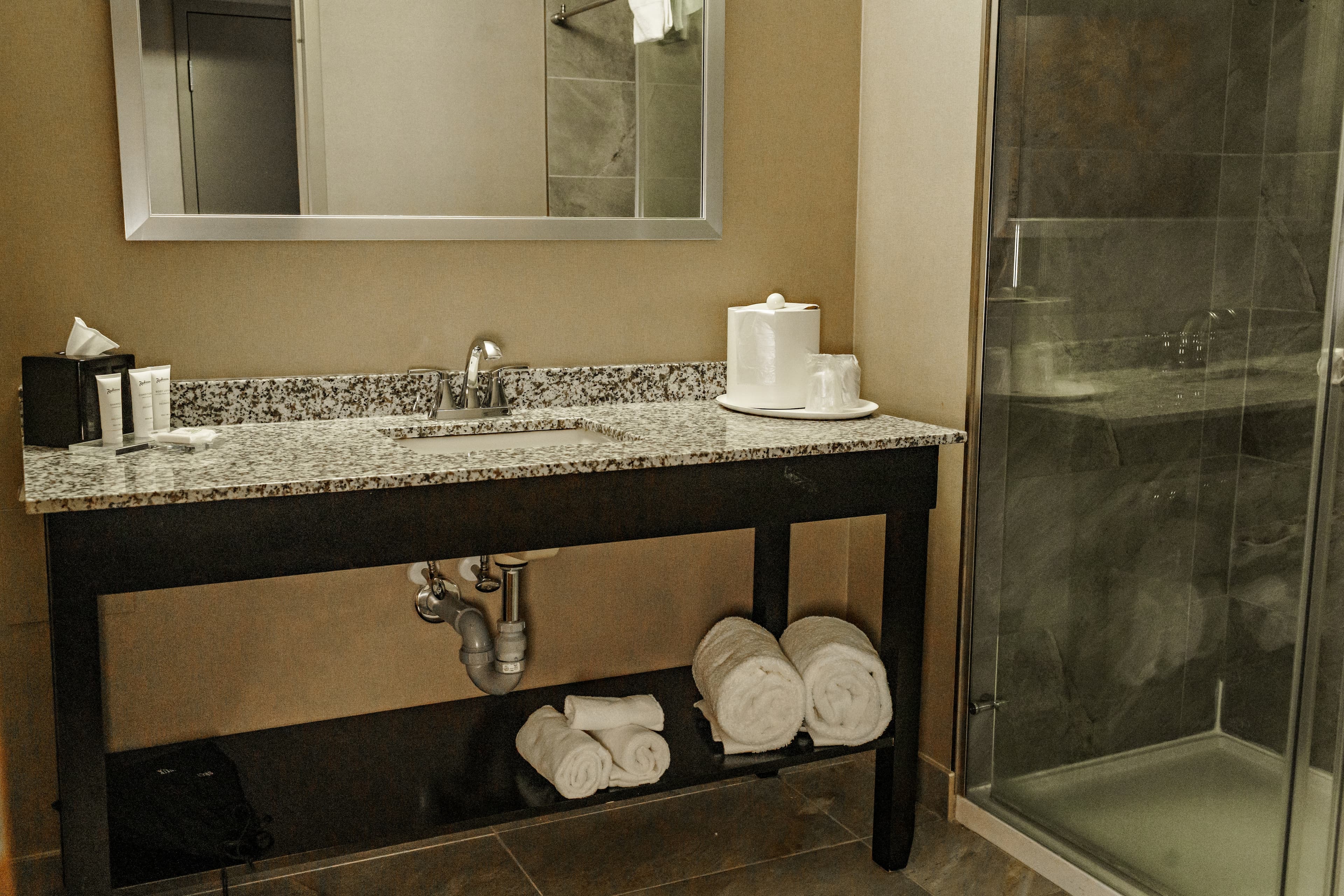 Radisson Hotel Edmonton Airport - Image 5