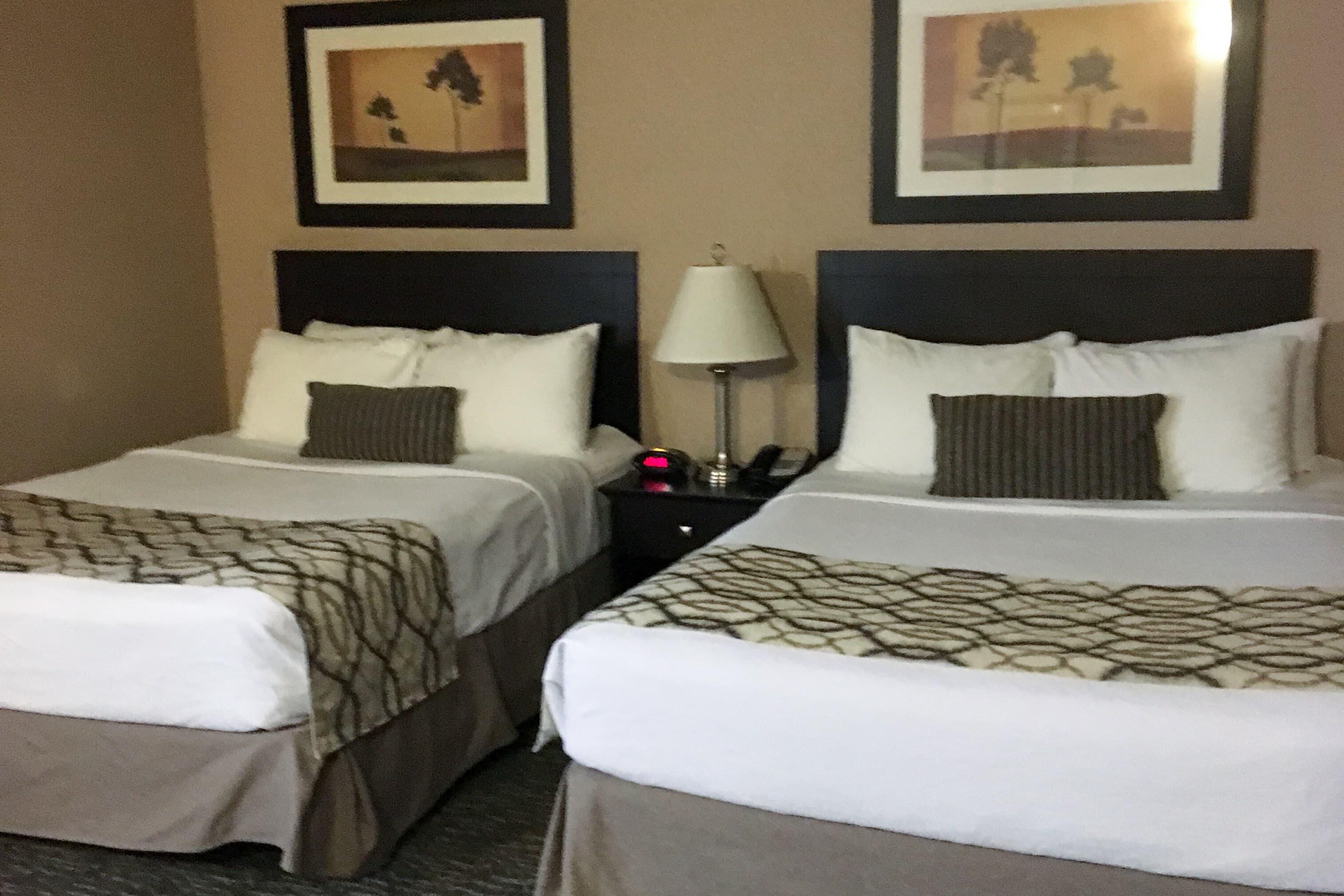 Radisson Hotel & Conference Centre West Edmonton — 21