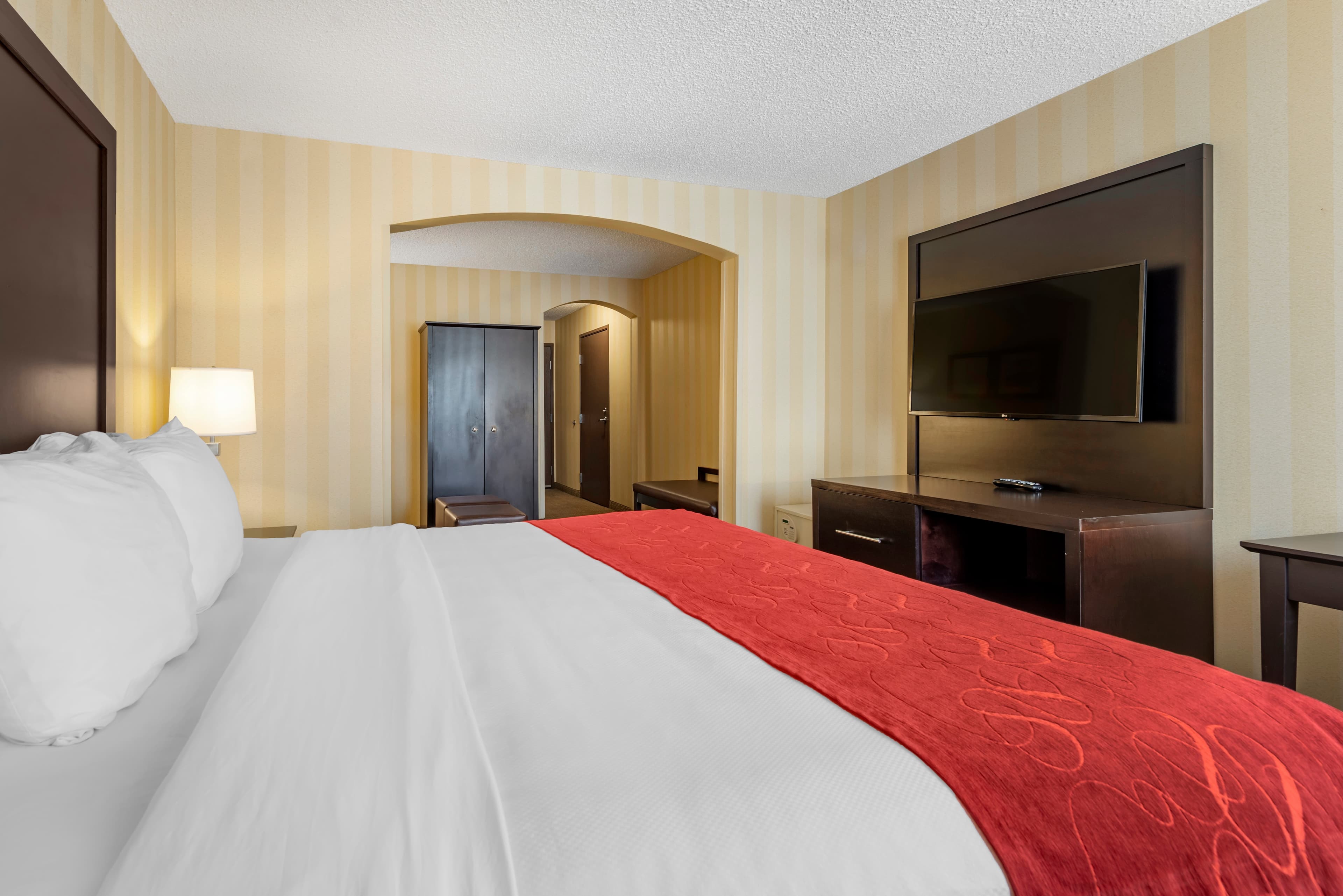 Comfort Suites Highlands Ranch Denver Tech Center Area - Image 4