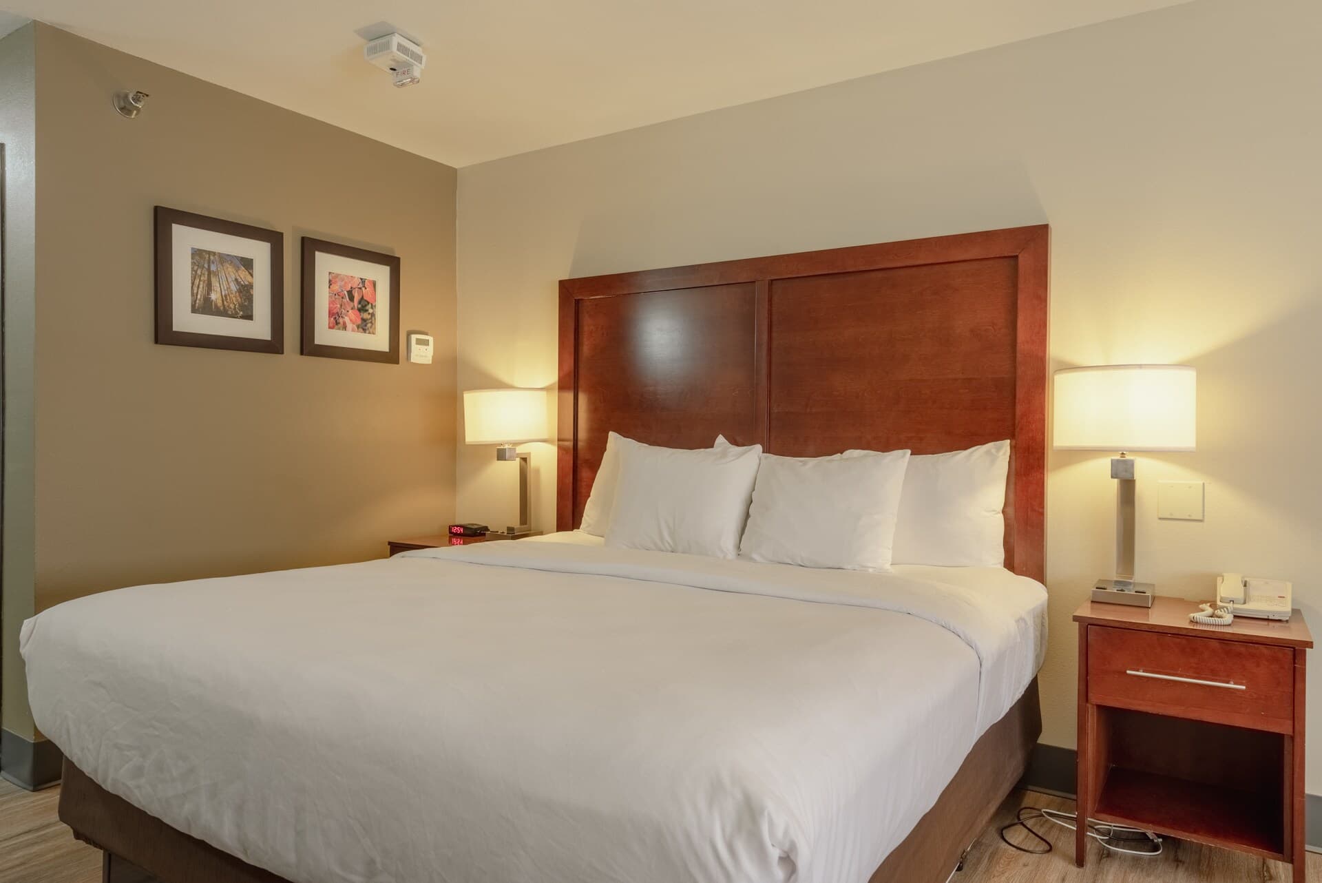 Comfort Inn & Suites Alamosa - Image 4