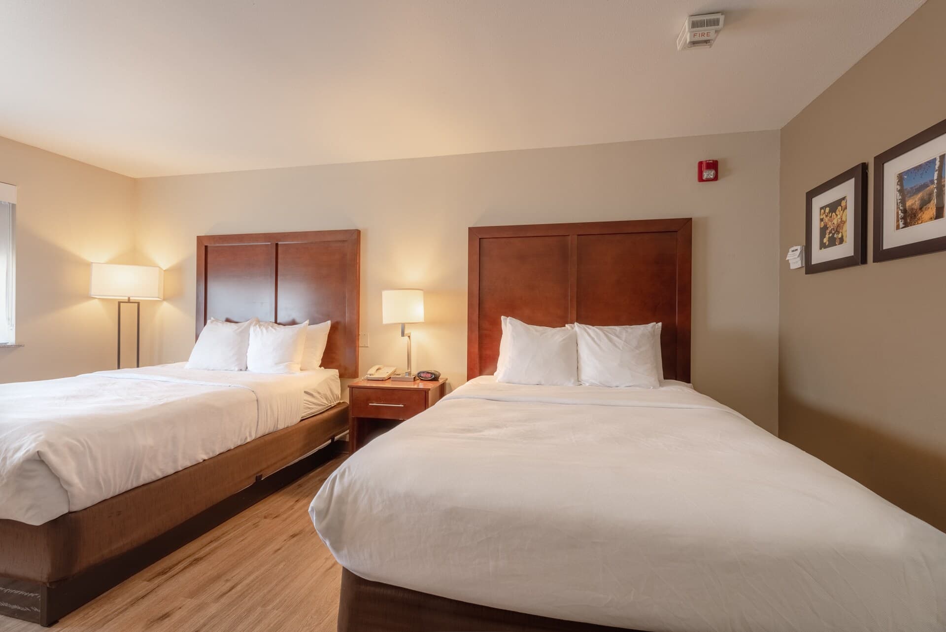 Comfort Inn & Suites Alamosa — 19