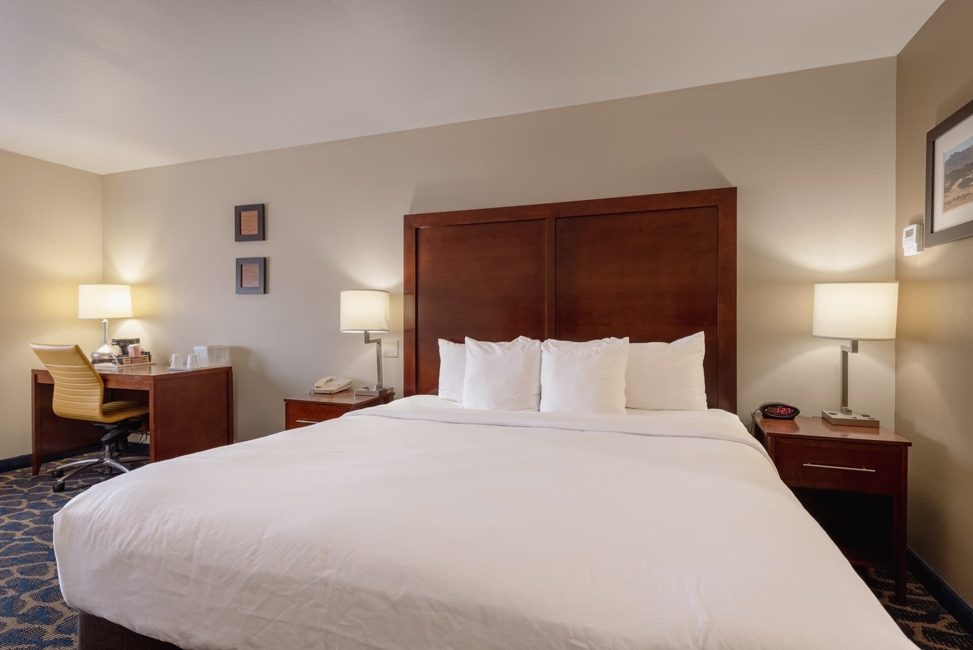 Comfort Inn & Suites Alamosa — 27