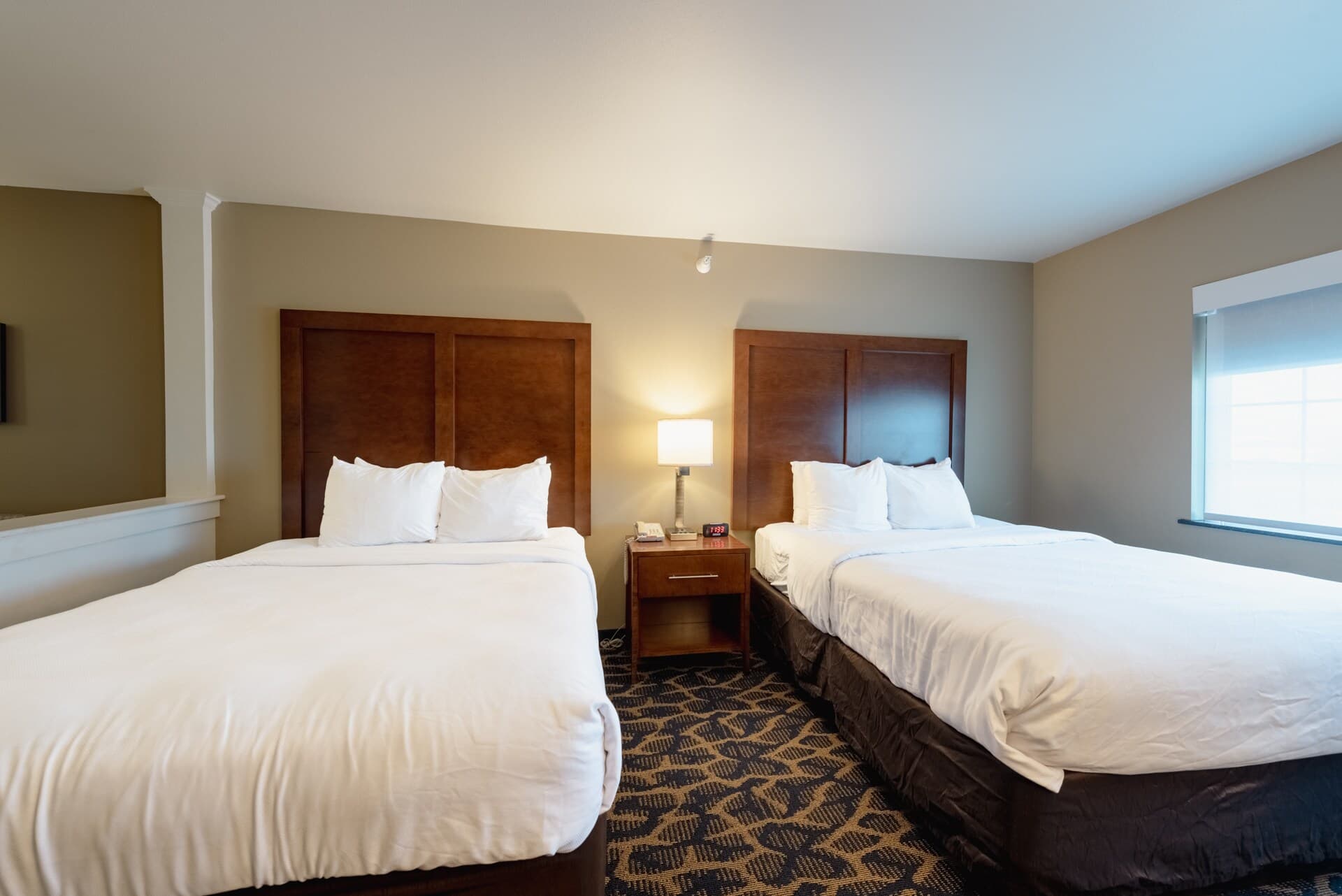 Comfort Inn & Suites Alamosa — 73