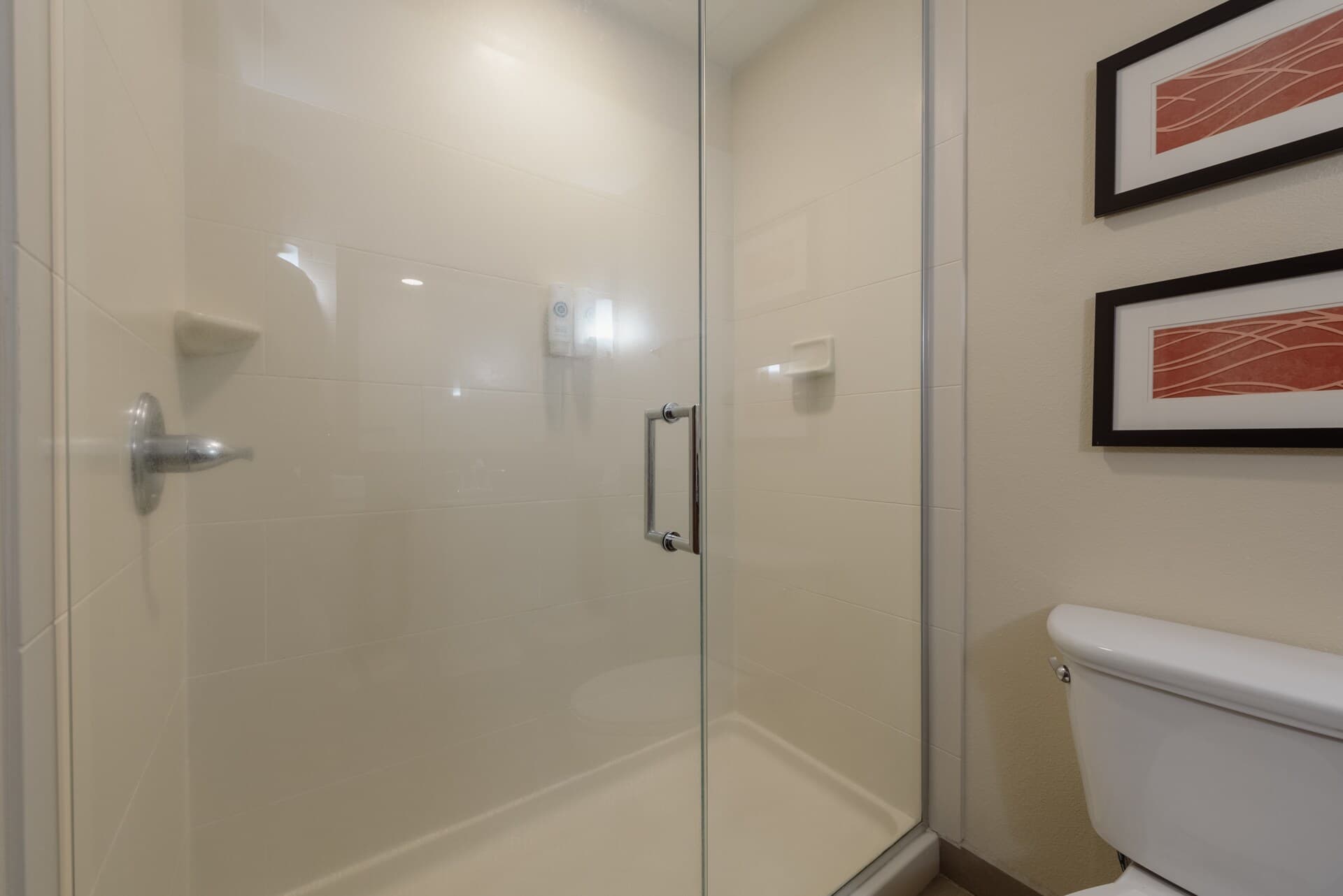 Comfort Inn & Suites Alamosa — 65