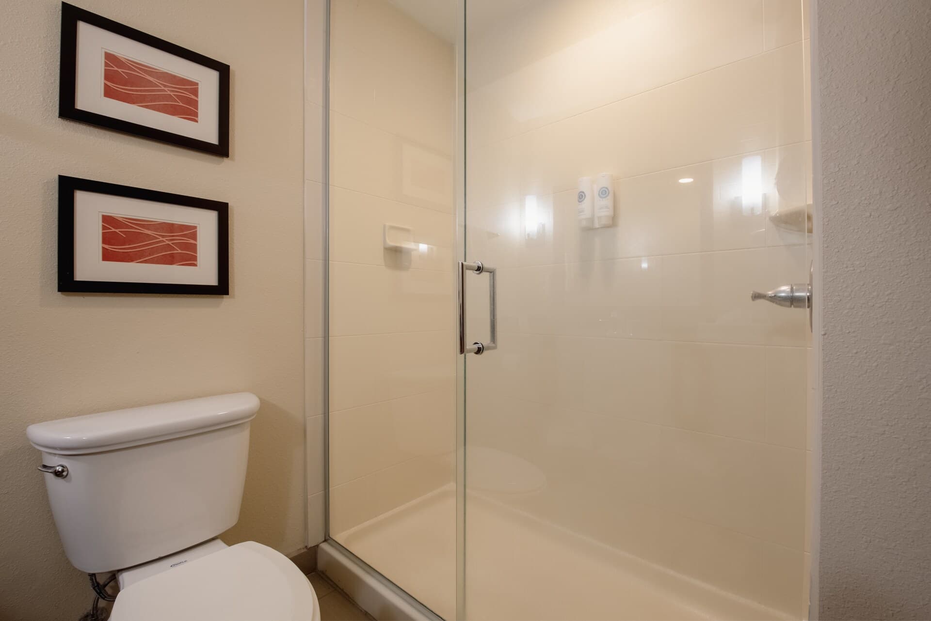Comfort Inn & Suites Alamosa — 80