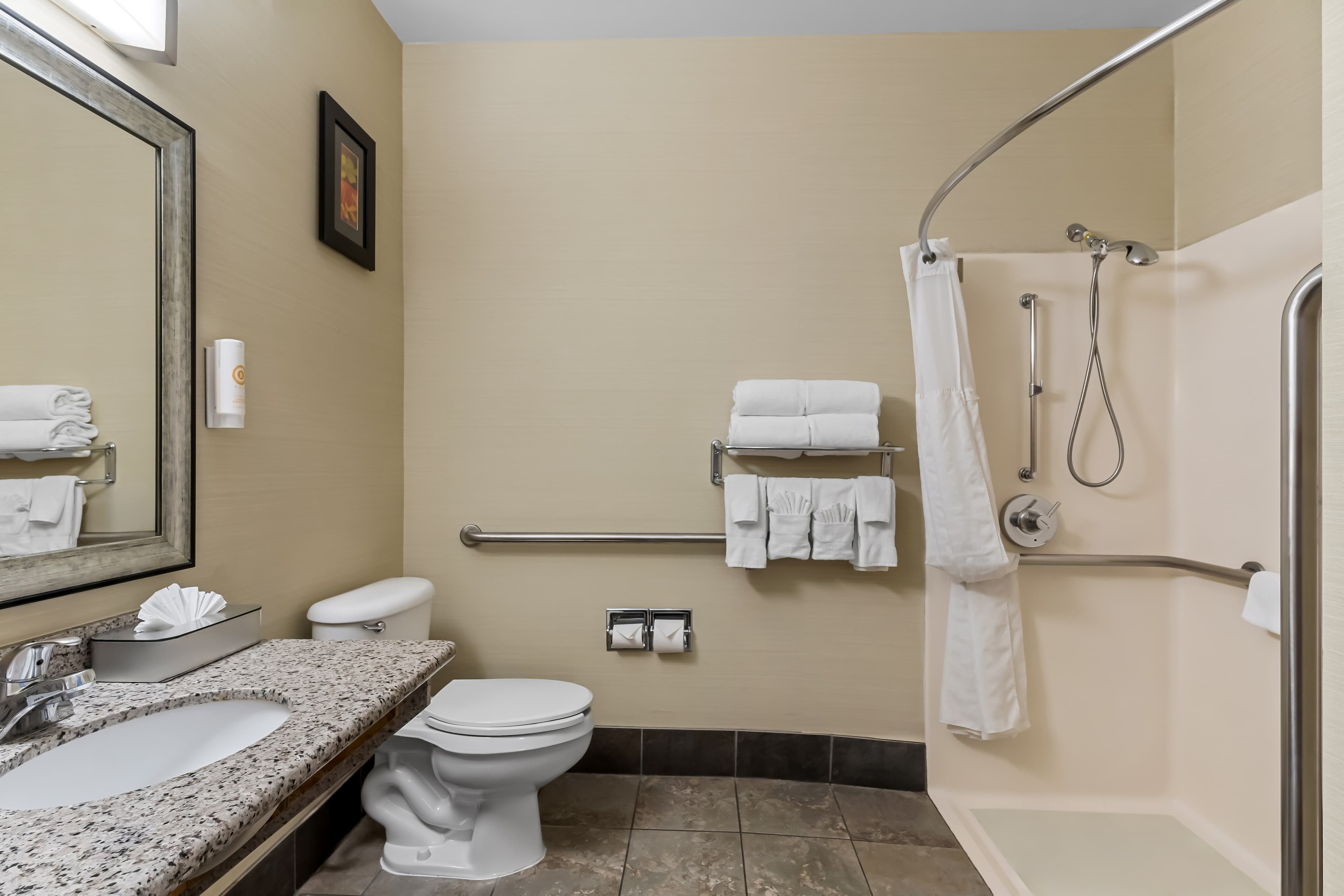 Comfort Suites Denver Tech Center - Image 4