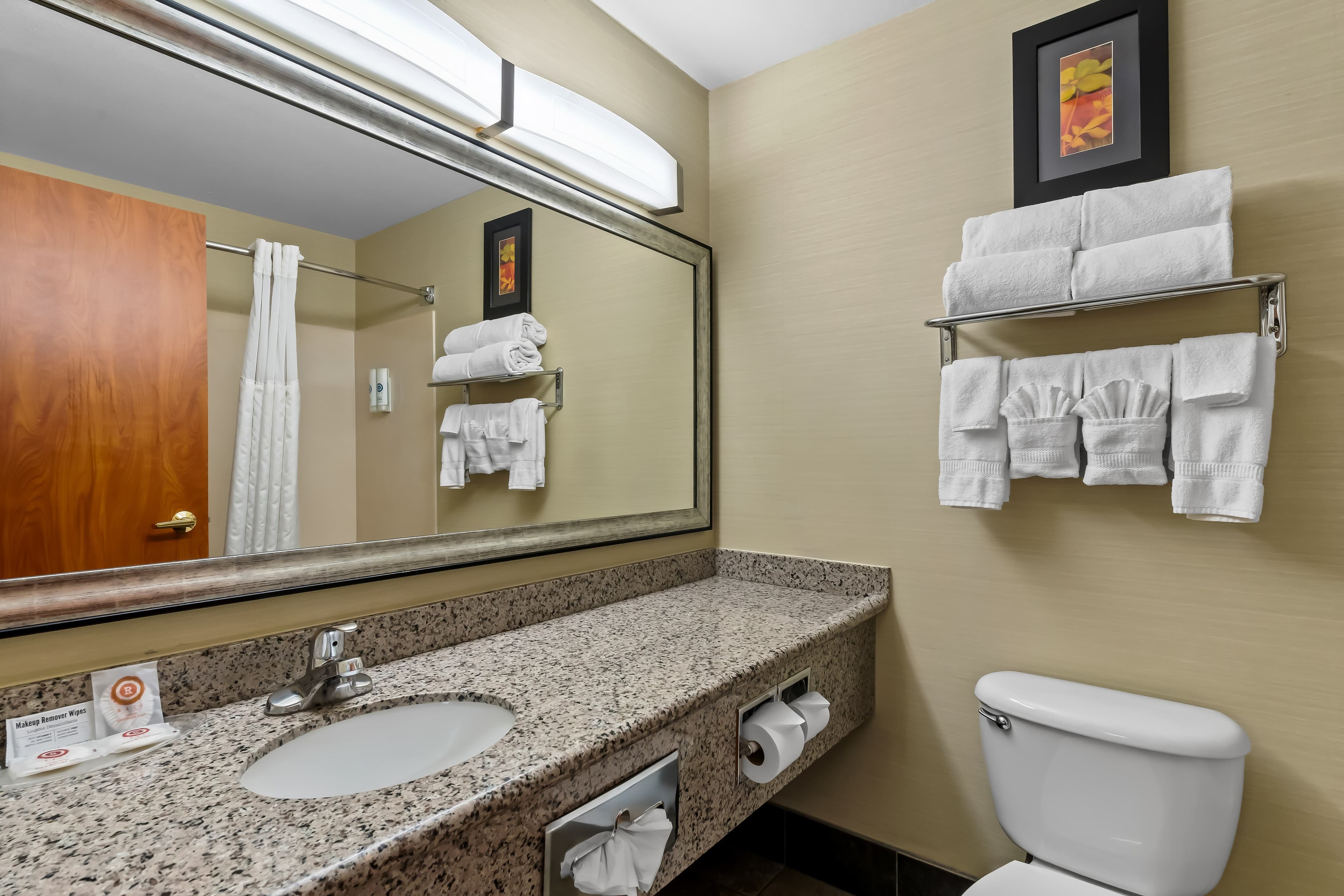 Comfort Suites Denver Tech Center — 8