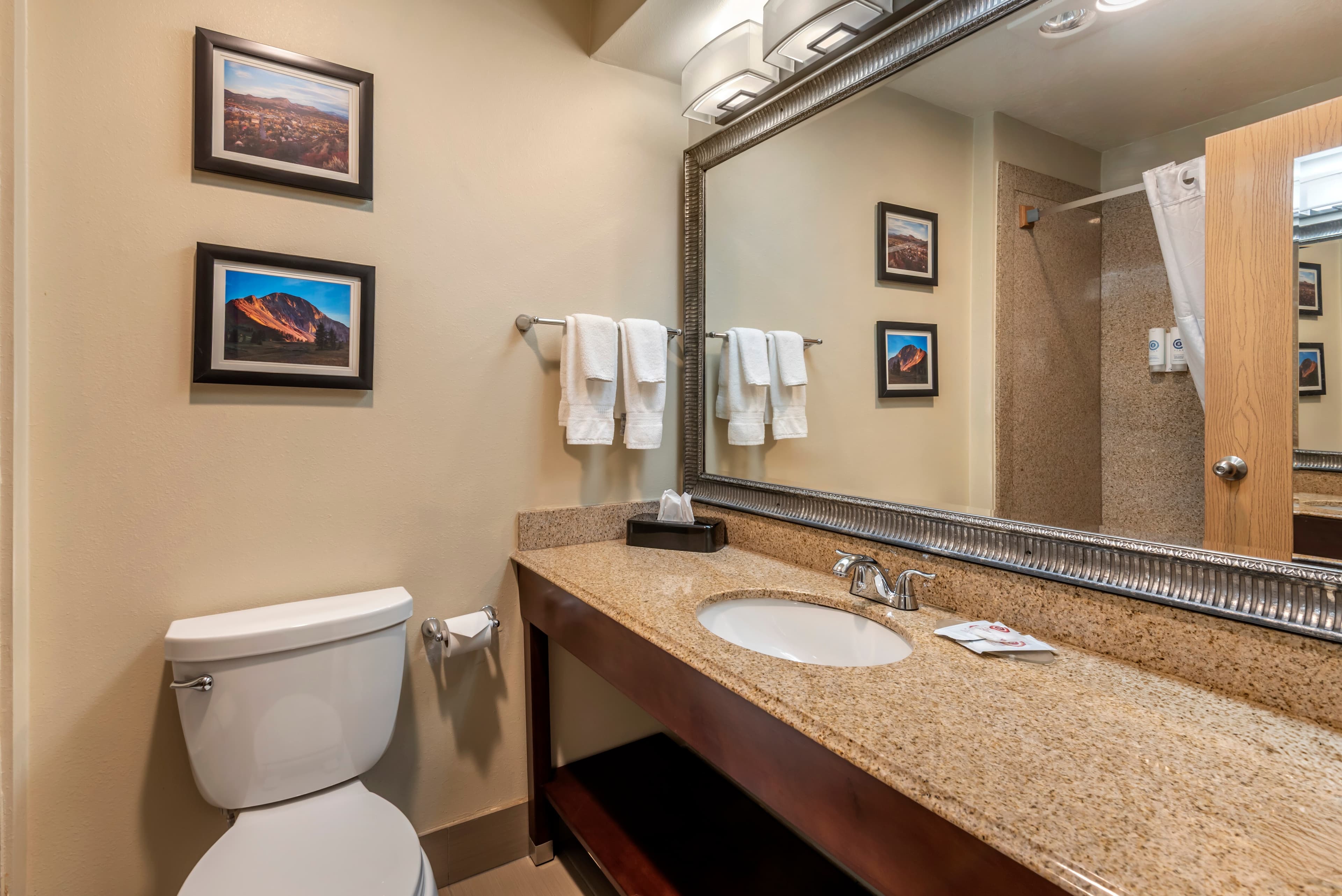 Comfort Inn & Suites Durango - Image 5
