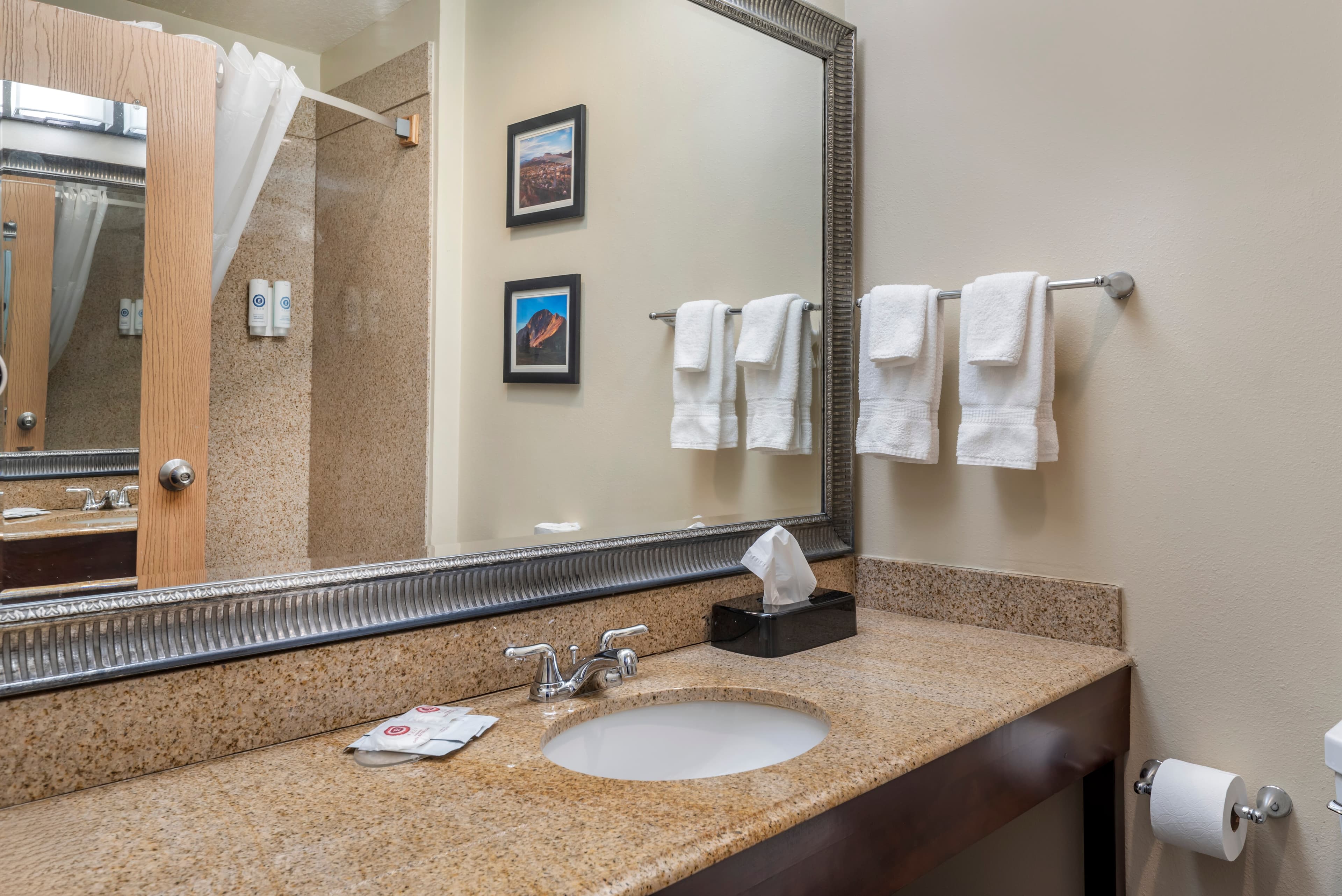 Comfort Inn & Suites Durango — 29