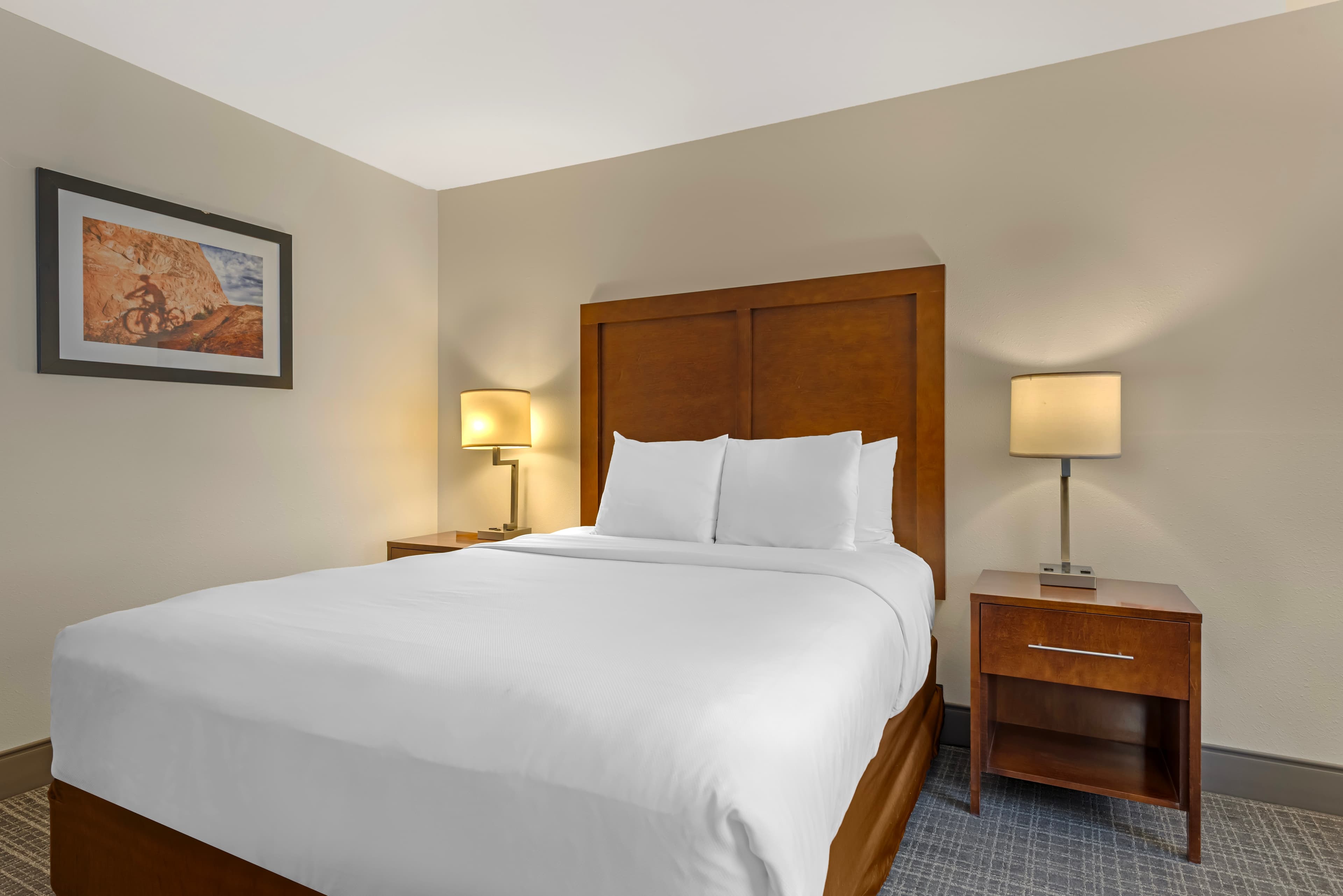 Comfort Inn & Suites Carbondale on the Roaring Fork — 4