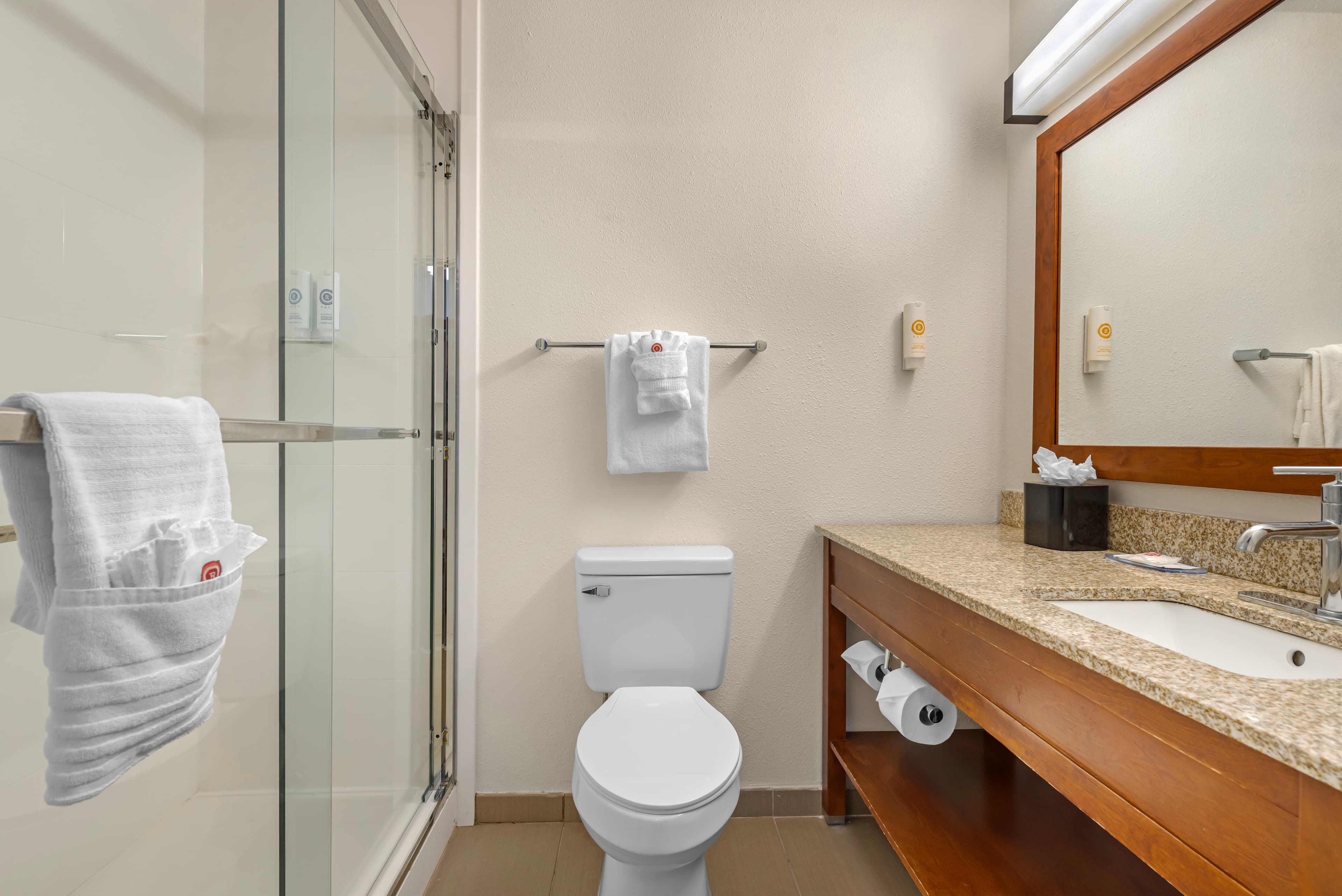 Comfort Inn & Suites Carbondale on the Roaring Fork — 9