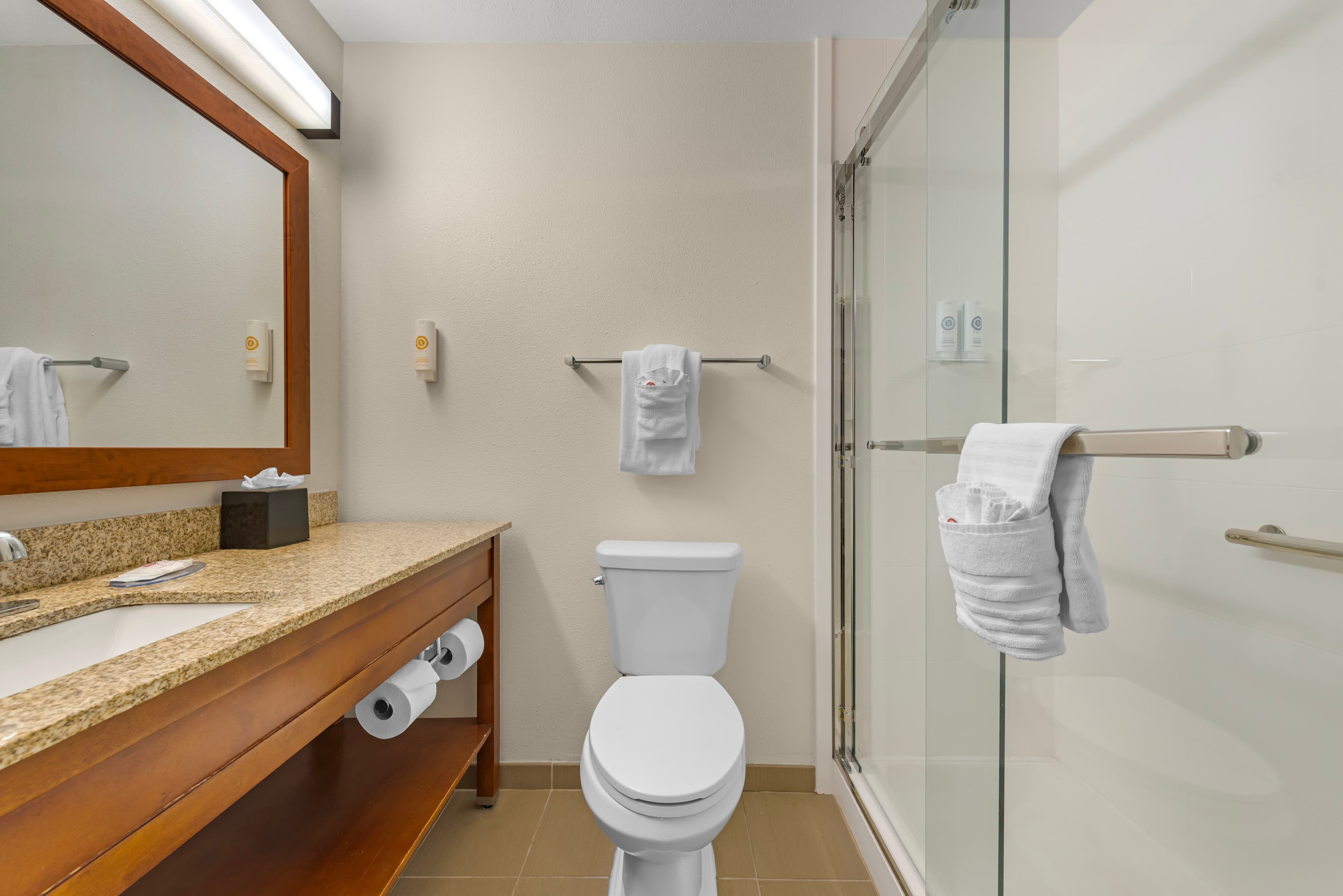 Comfort Inn & Suites Carbondale on the Roaring Fork — 17