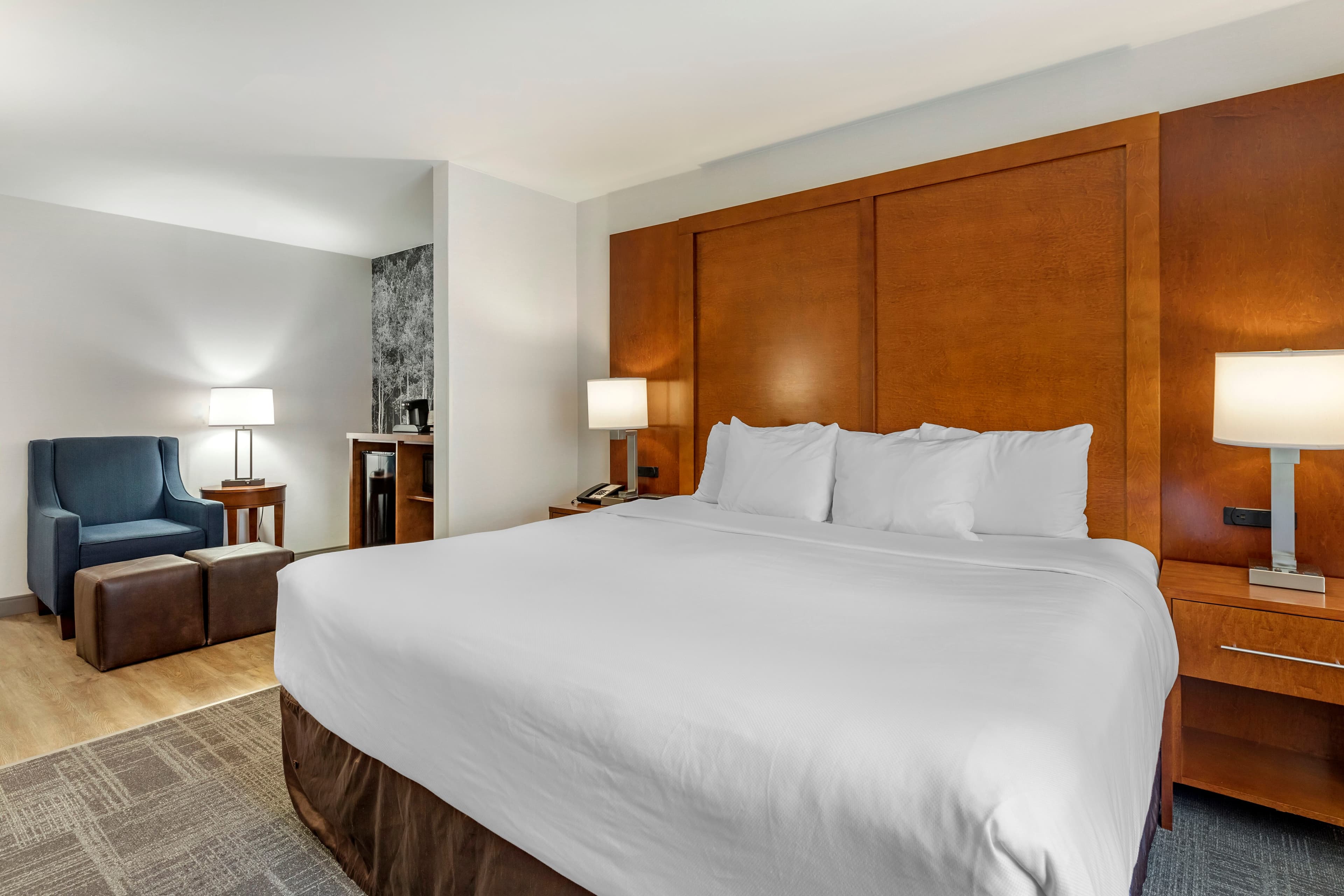 Comfort Suites Golden West on Evergreen Parkway - Image 2