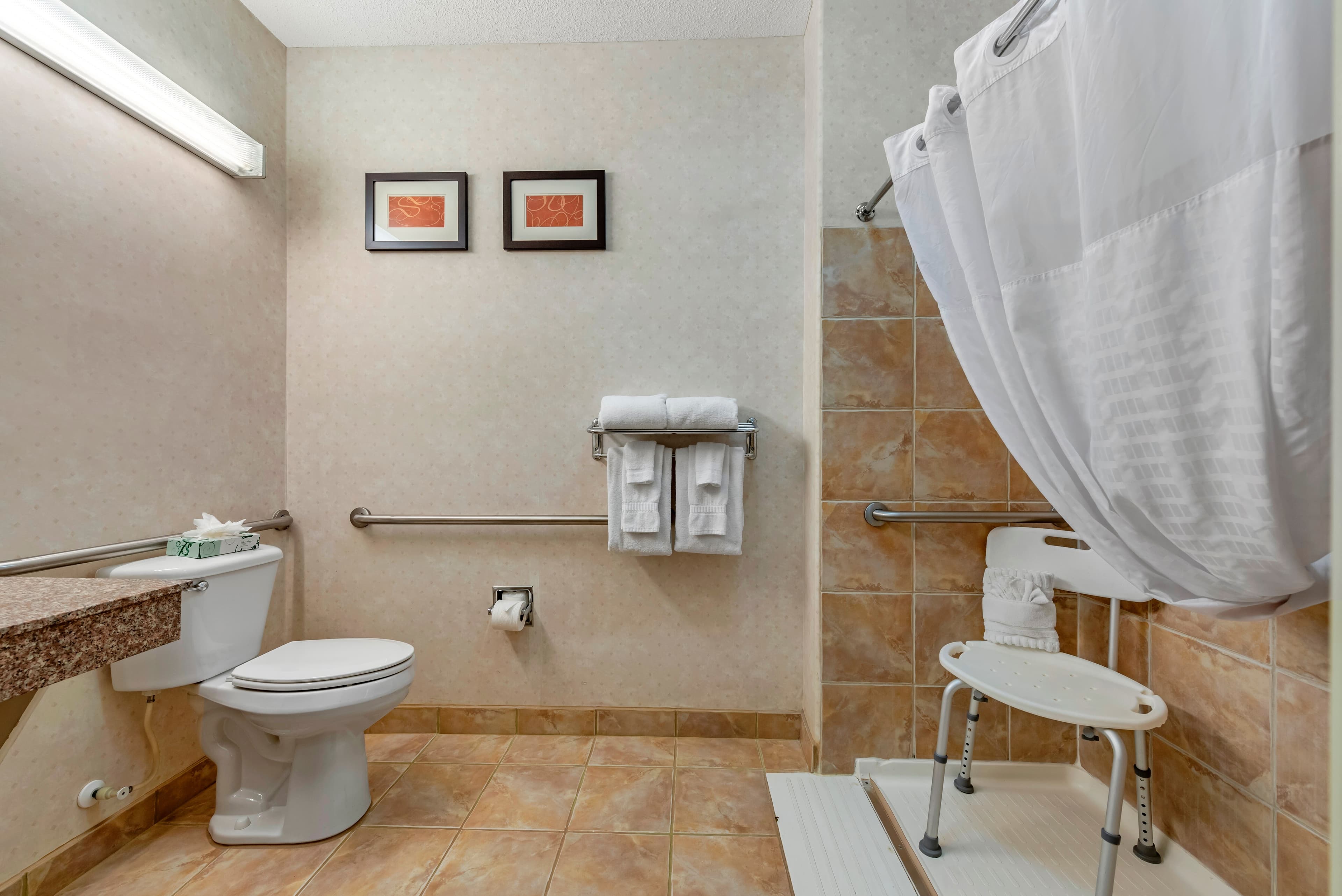 Comfort Suites Castle Rock - Denver South - Image 2