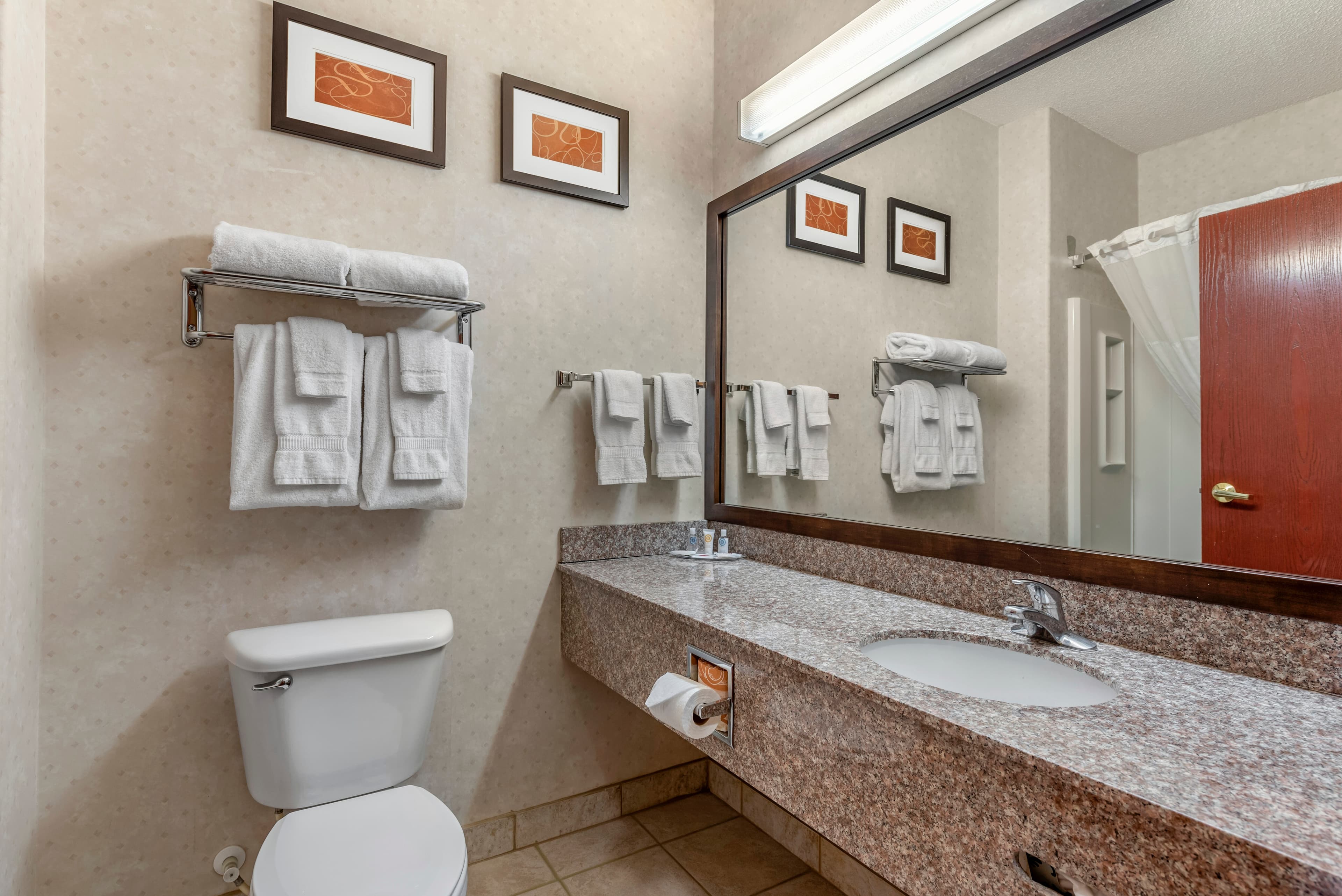 Comfort Suites Castle Rock - Denver South - Image 3