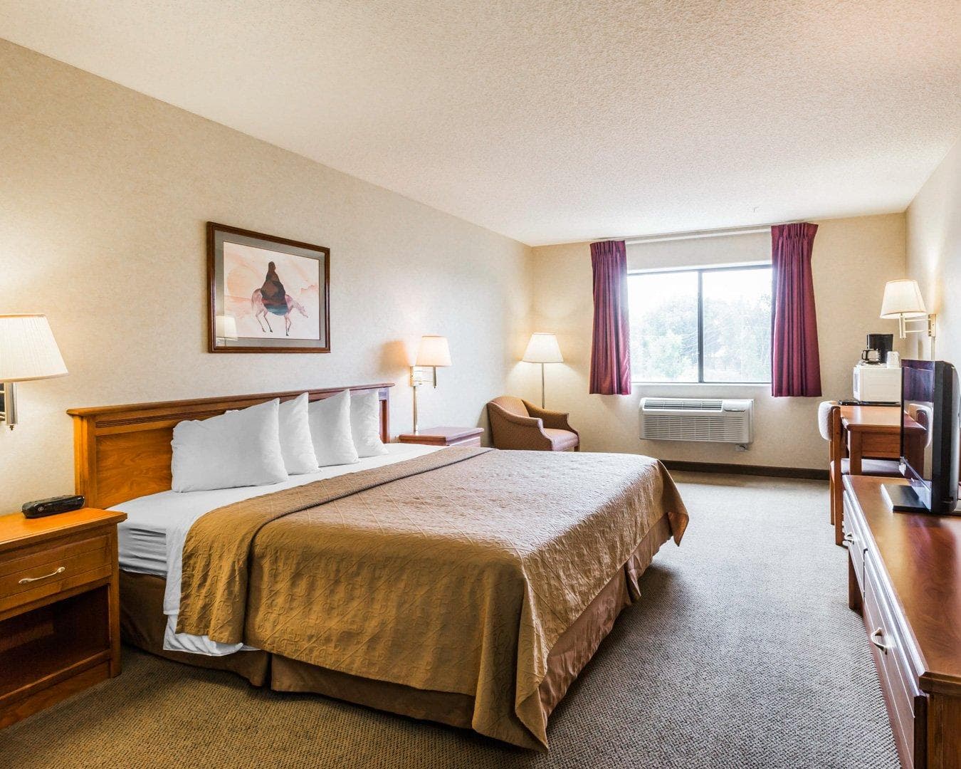 Quality Inn & Suites Montrose - Black Canyon Area - Image 3