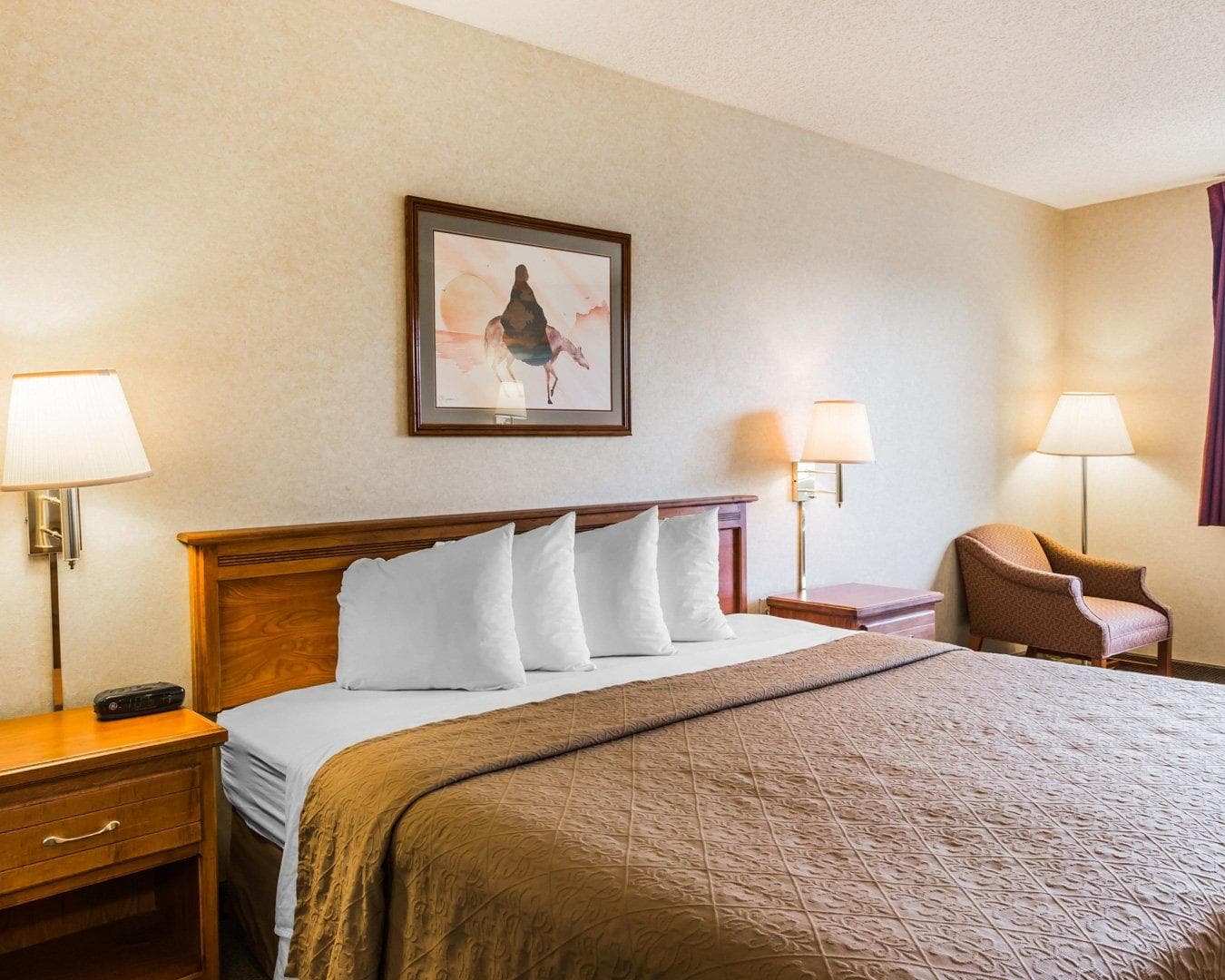 Quality Inn & Suites Montrose - Black Canyon Area - Image 5
