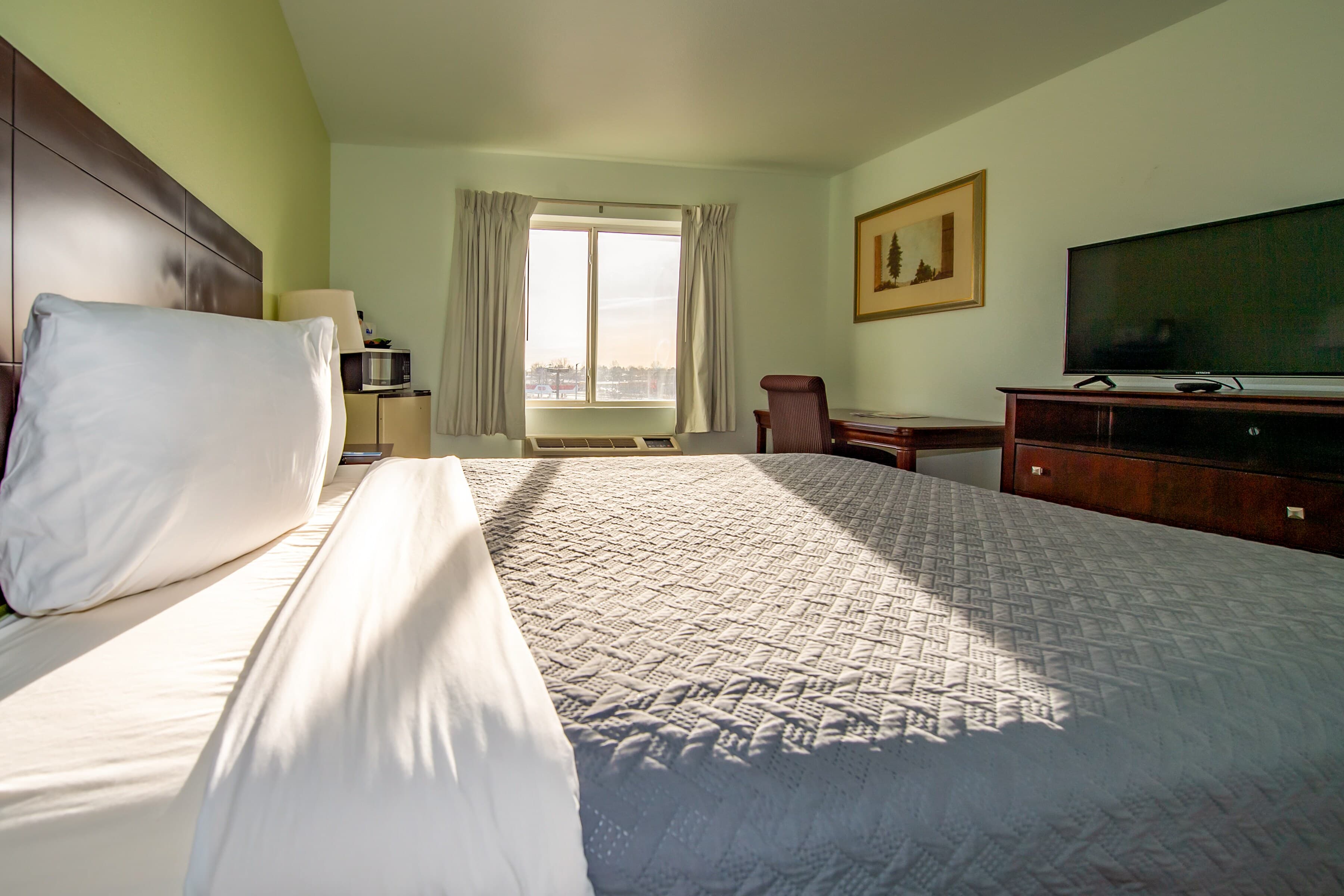 Rodeway Inn Central Colorado Springs - Image 3