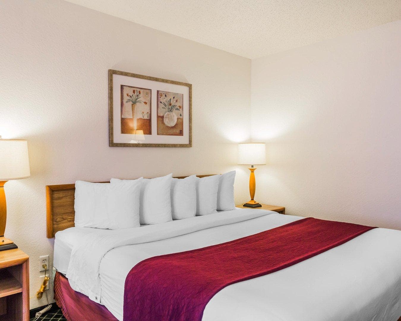 Quality Inn & Suites Golden - Denver West - Image 2
