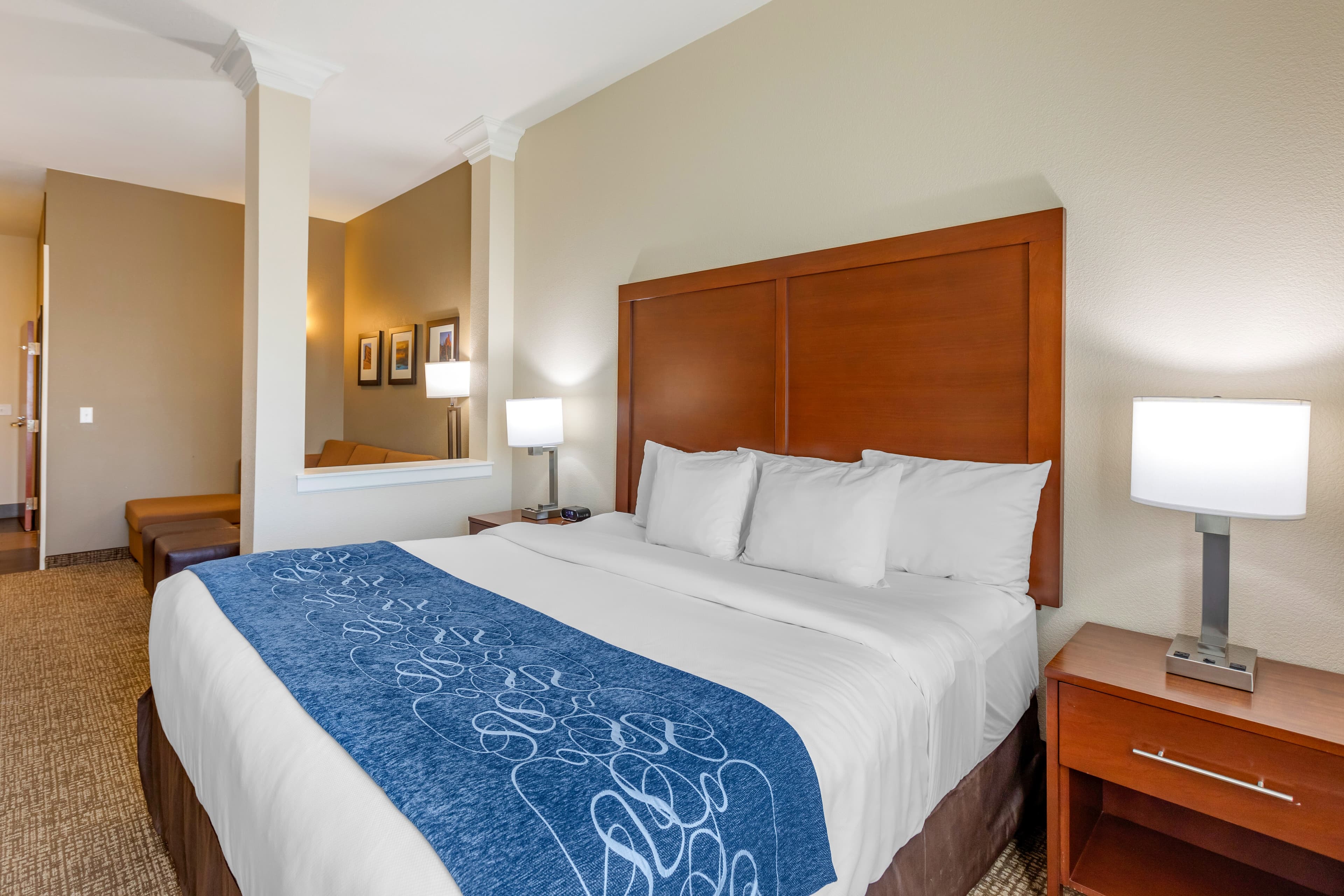 Comfort Suites Near Denver Downtown - Image 3