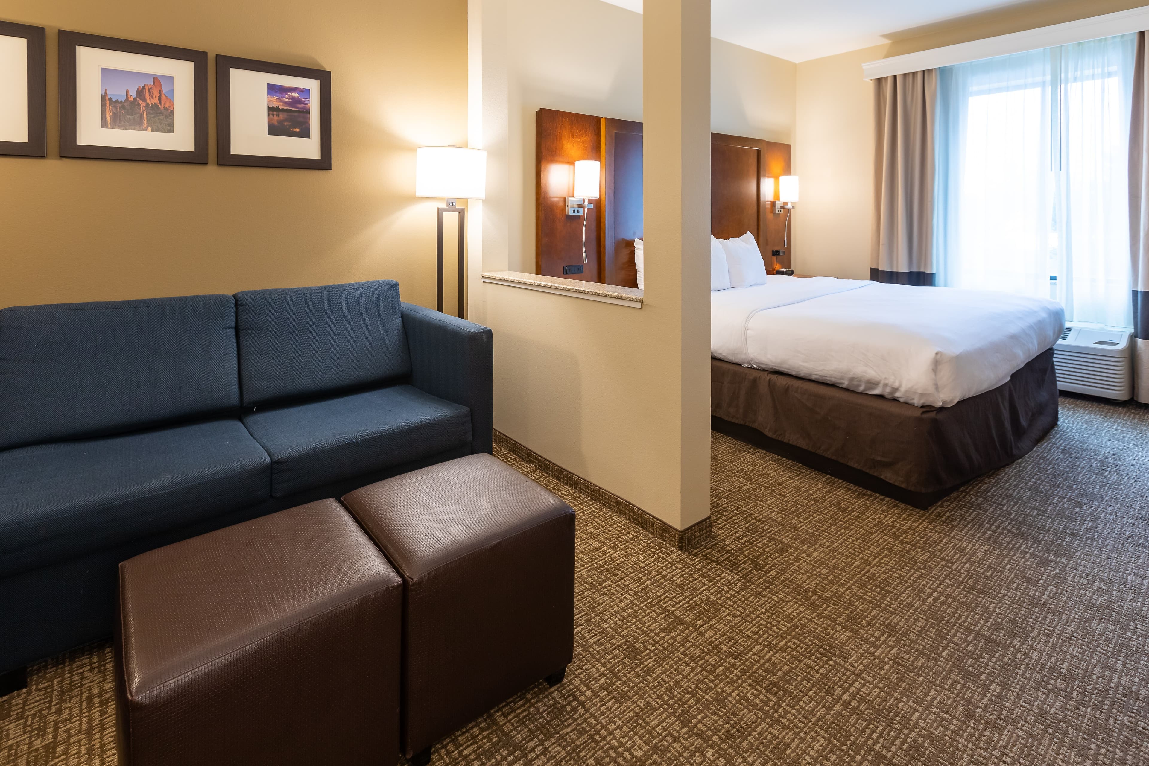 Comfort Suites Denver near Anschutz Medical Campus — 9