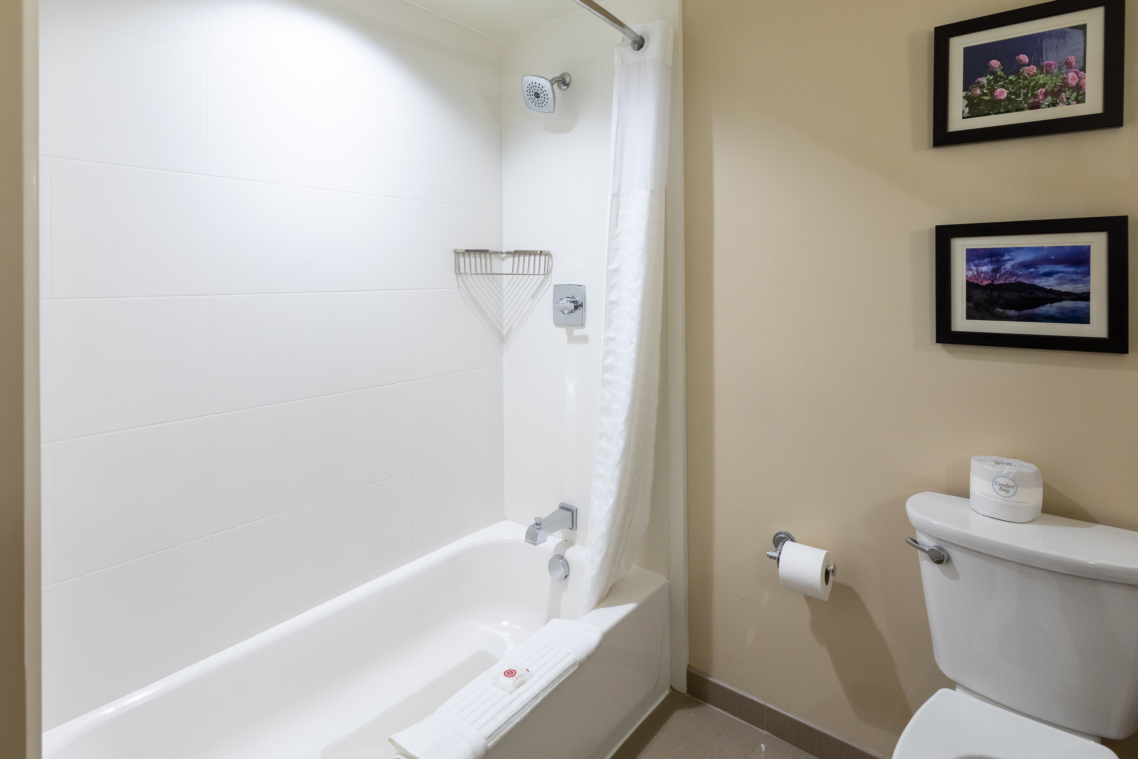 Comfort Suites Denver near Anschutz Medical Campus — 31