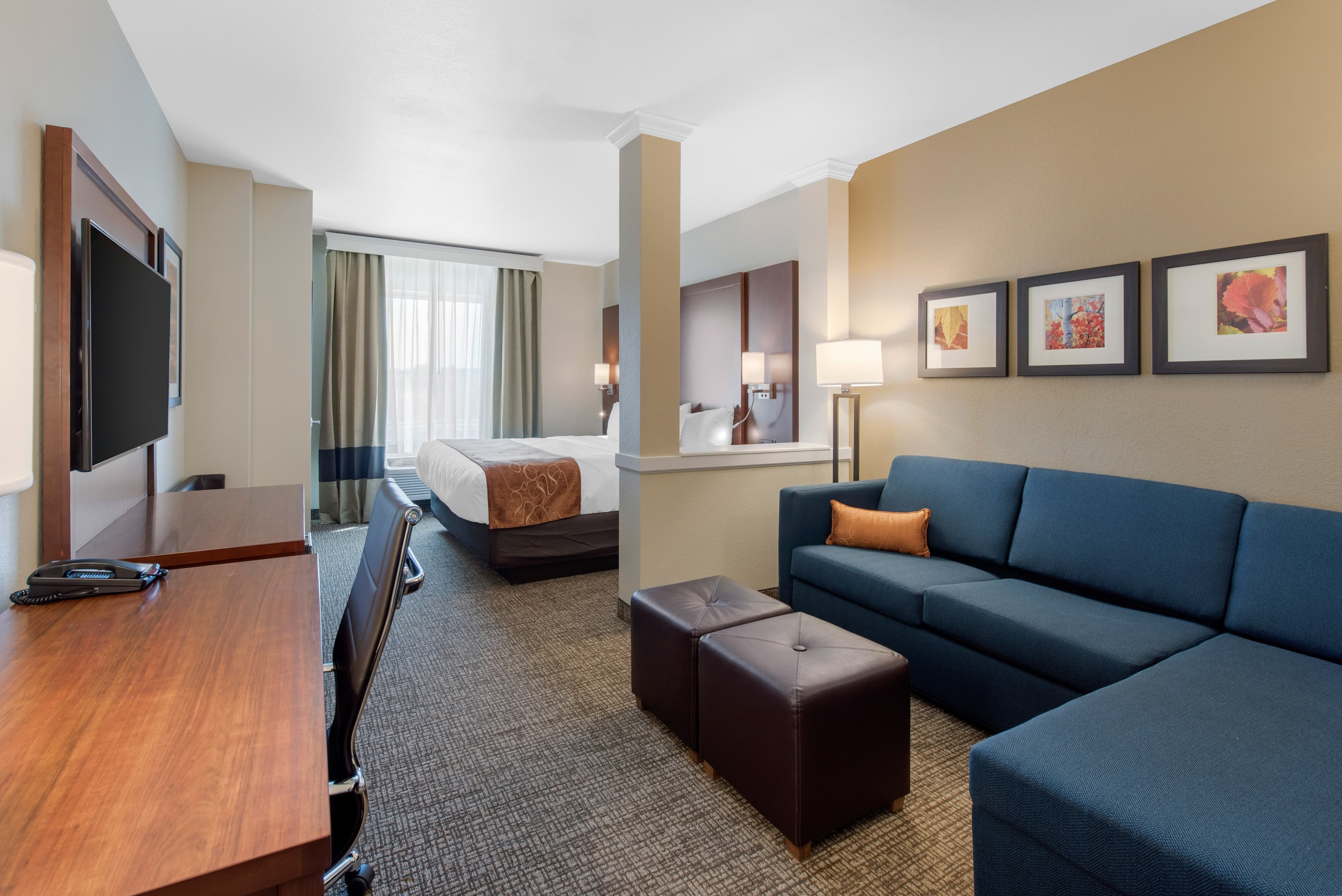 Comfort Suites Denver International Airport - Image 1