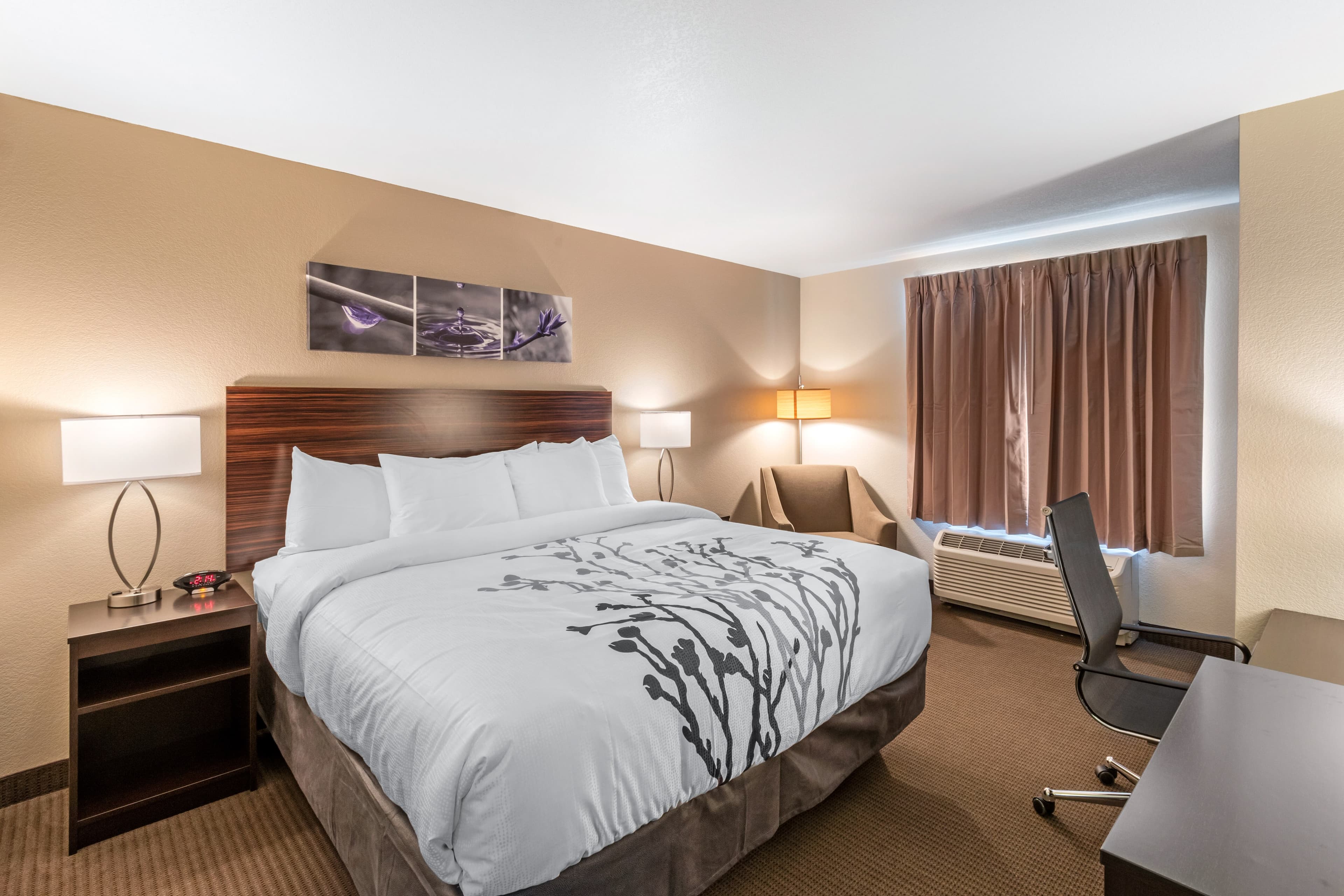 Sleep Inn & Suites Denver International Airport - Image 1