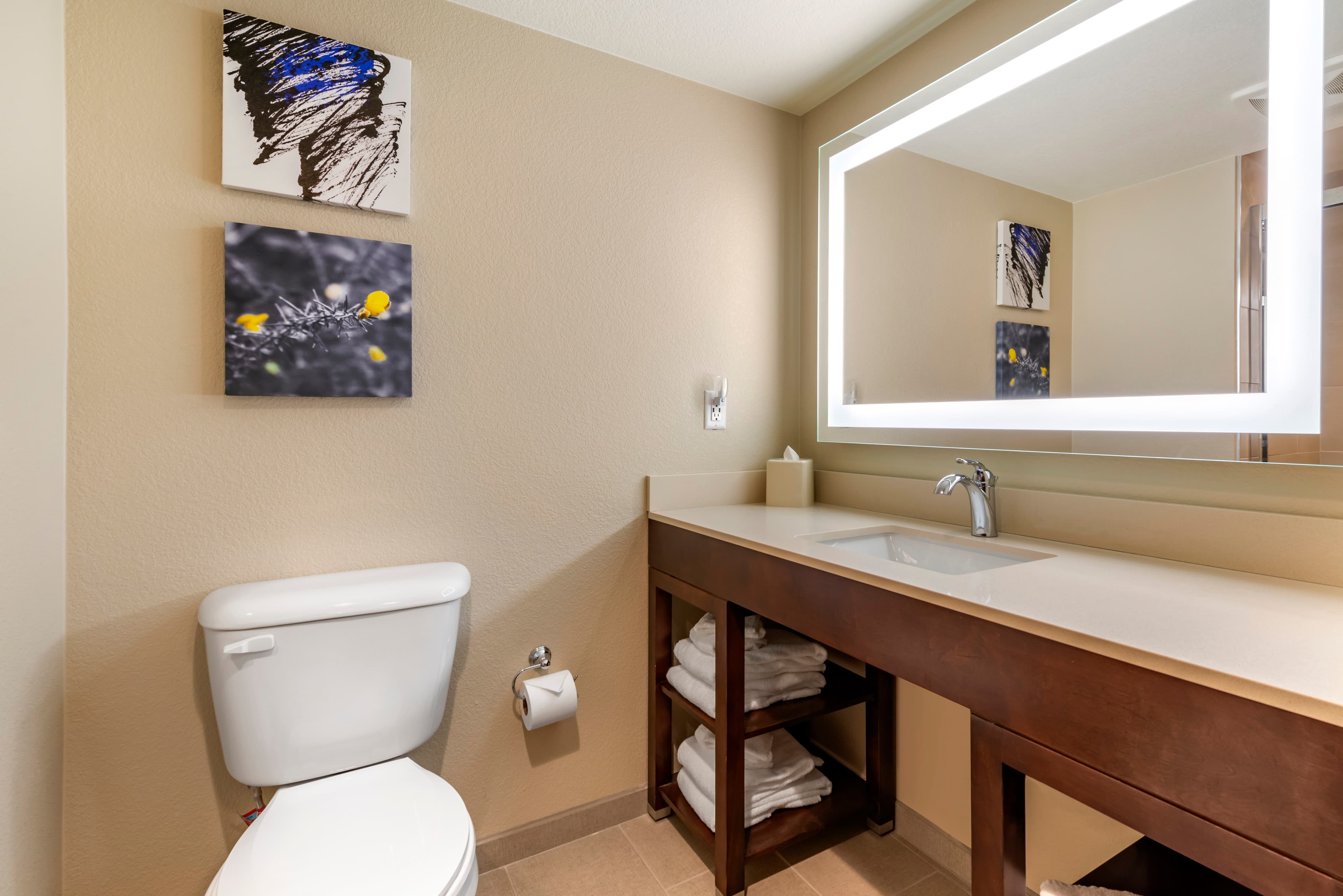 Comfort Suites Broomfield-Boulder/Interlocken — 17