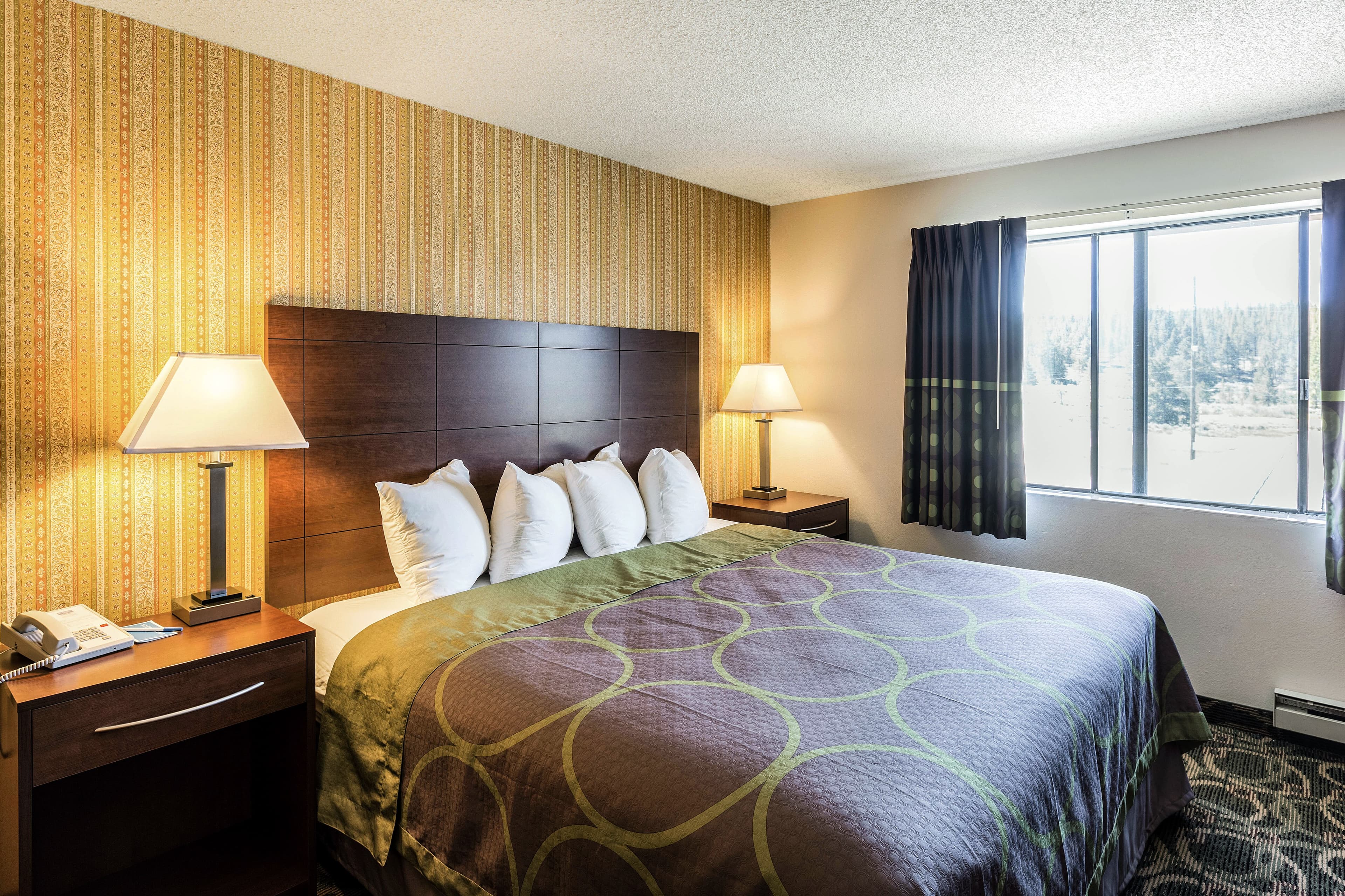 Rodeway Inn Leadville - Image 1