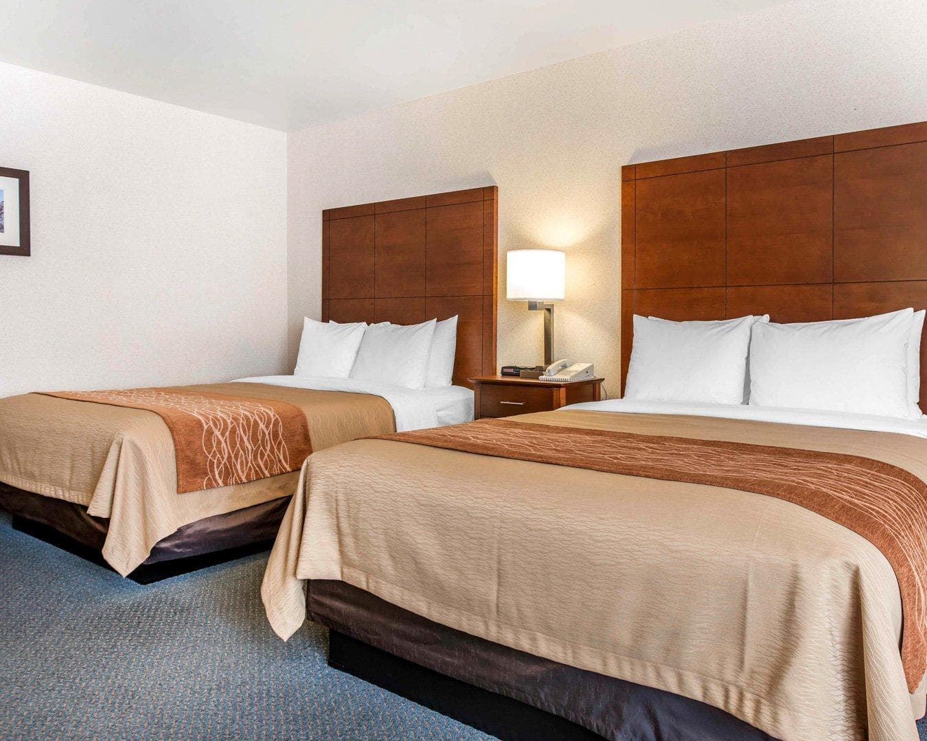 Comfort Inn Salida — 14
