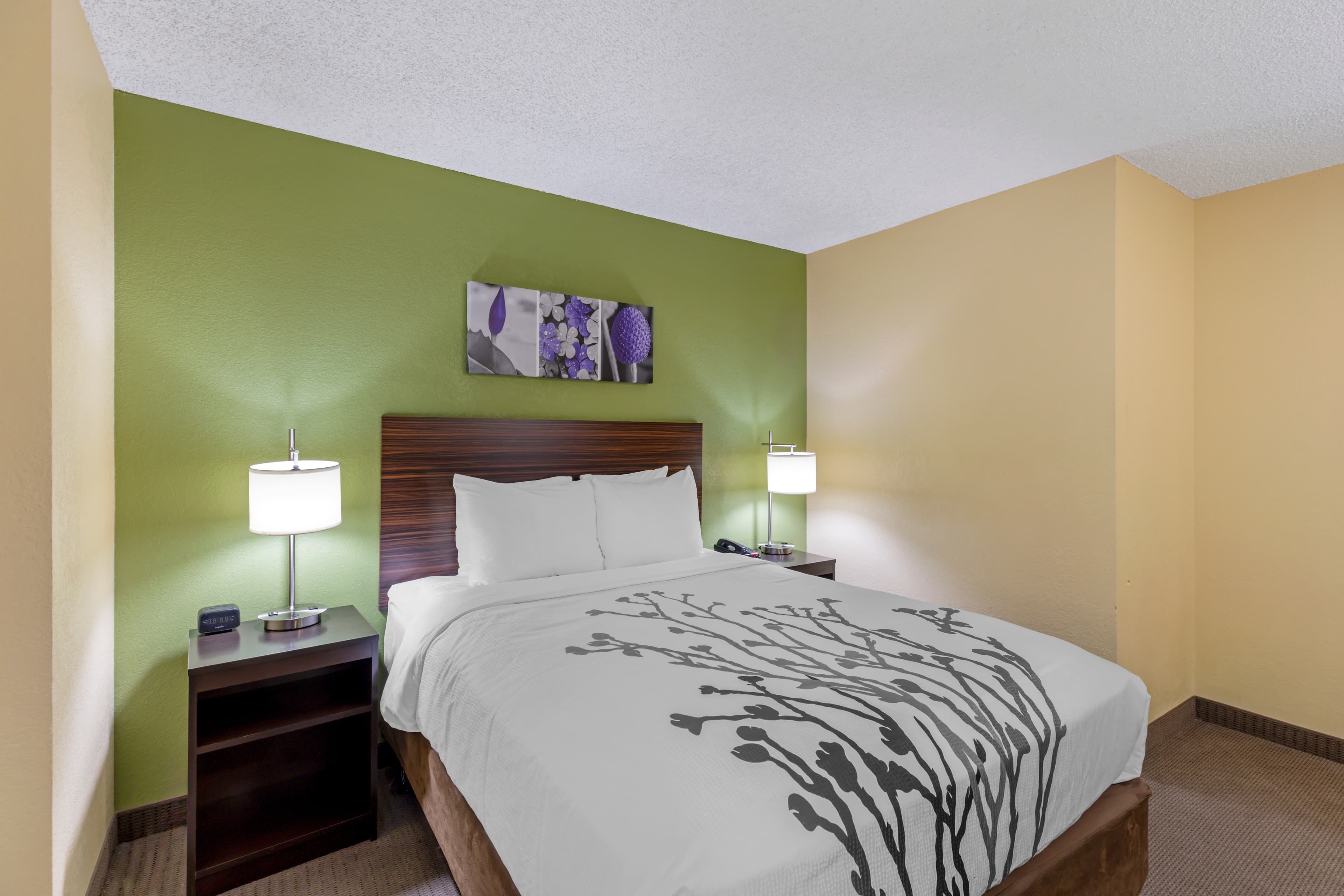 Sleep Inn Denver Tech Center — 8